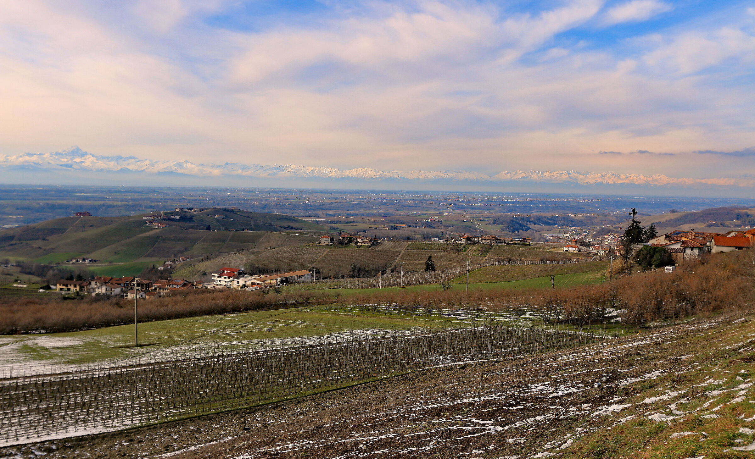 Langhe in inverno con le Alpi sullo sfondo