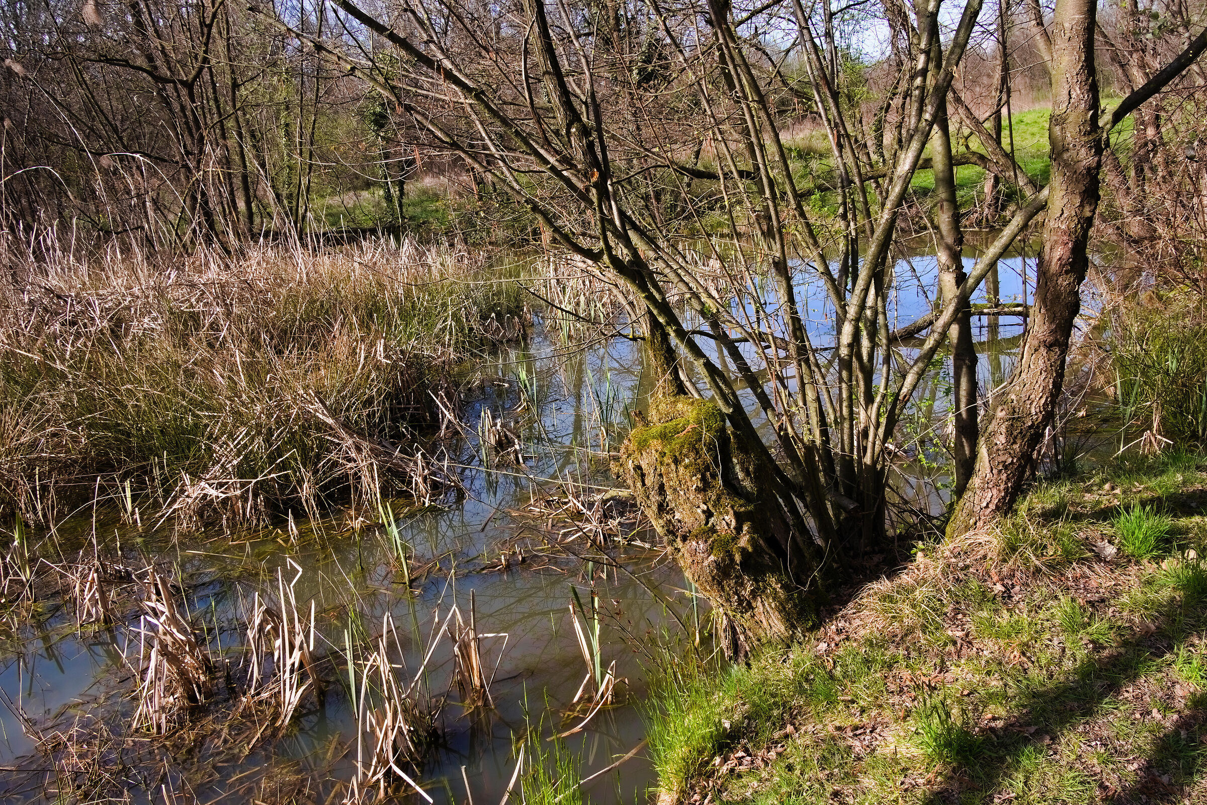 Fine di un parco