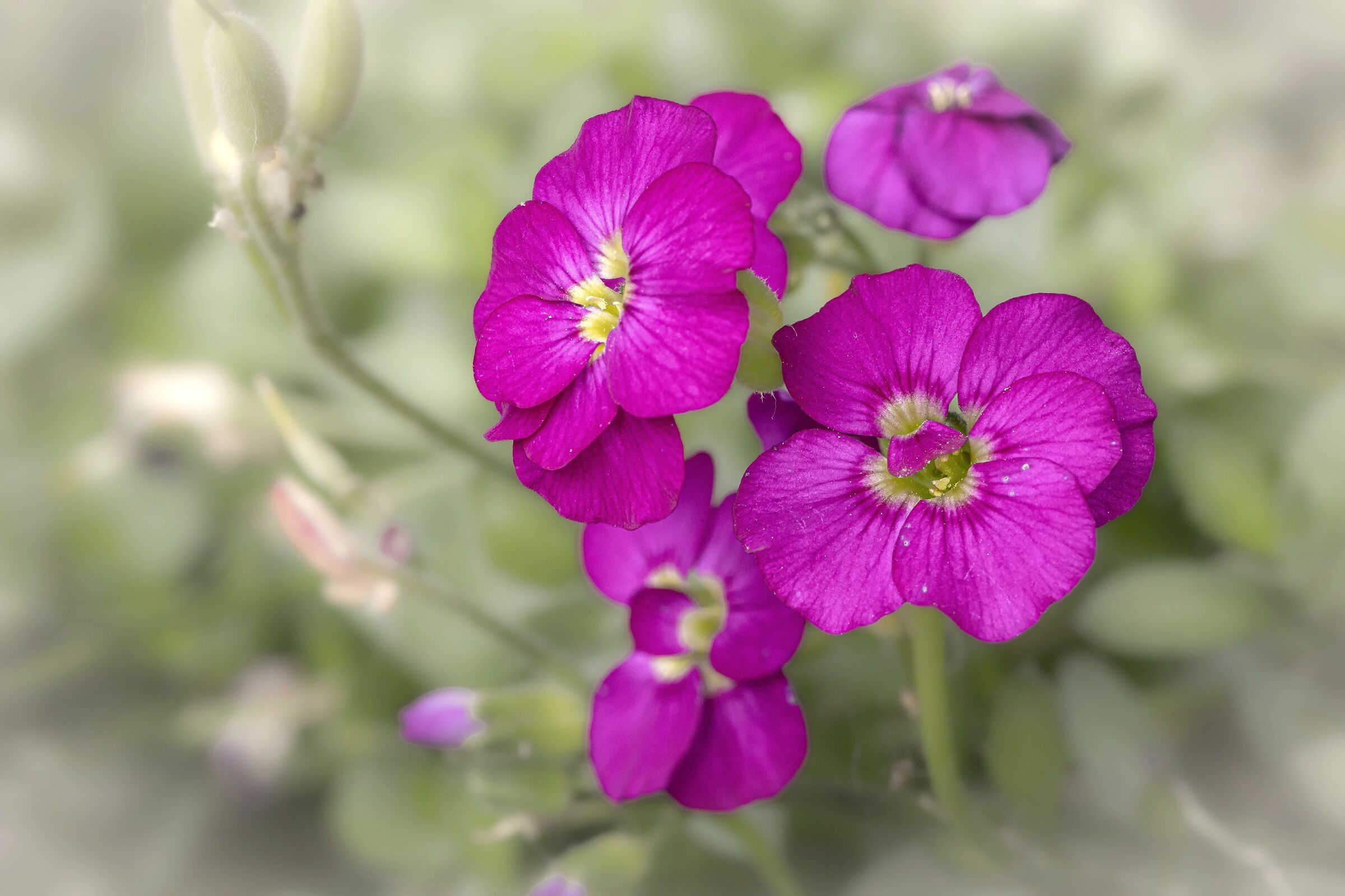 From my windowsill