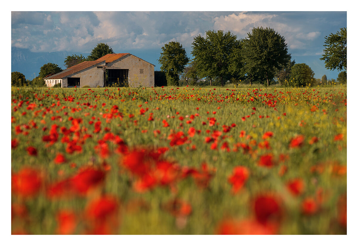 Angoli di campagna Veneta