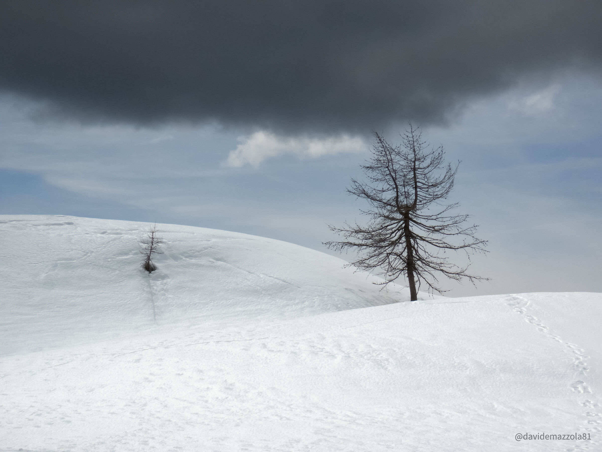 Valtournenche