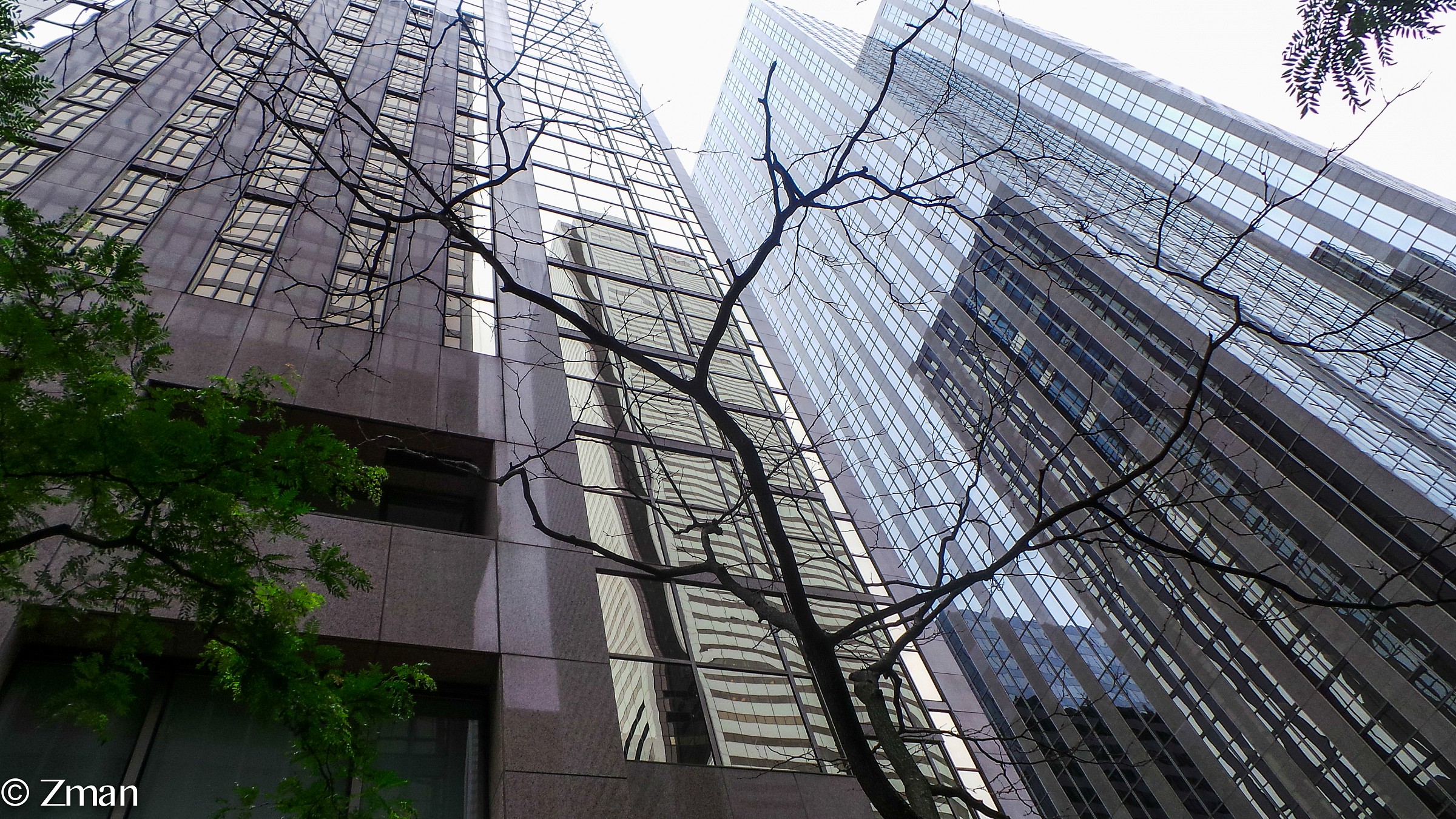 La bellezza di architettura di Toronto