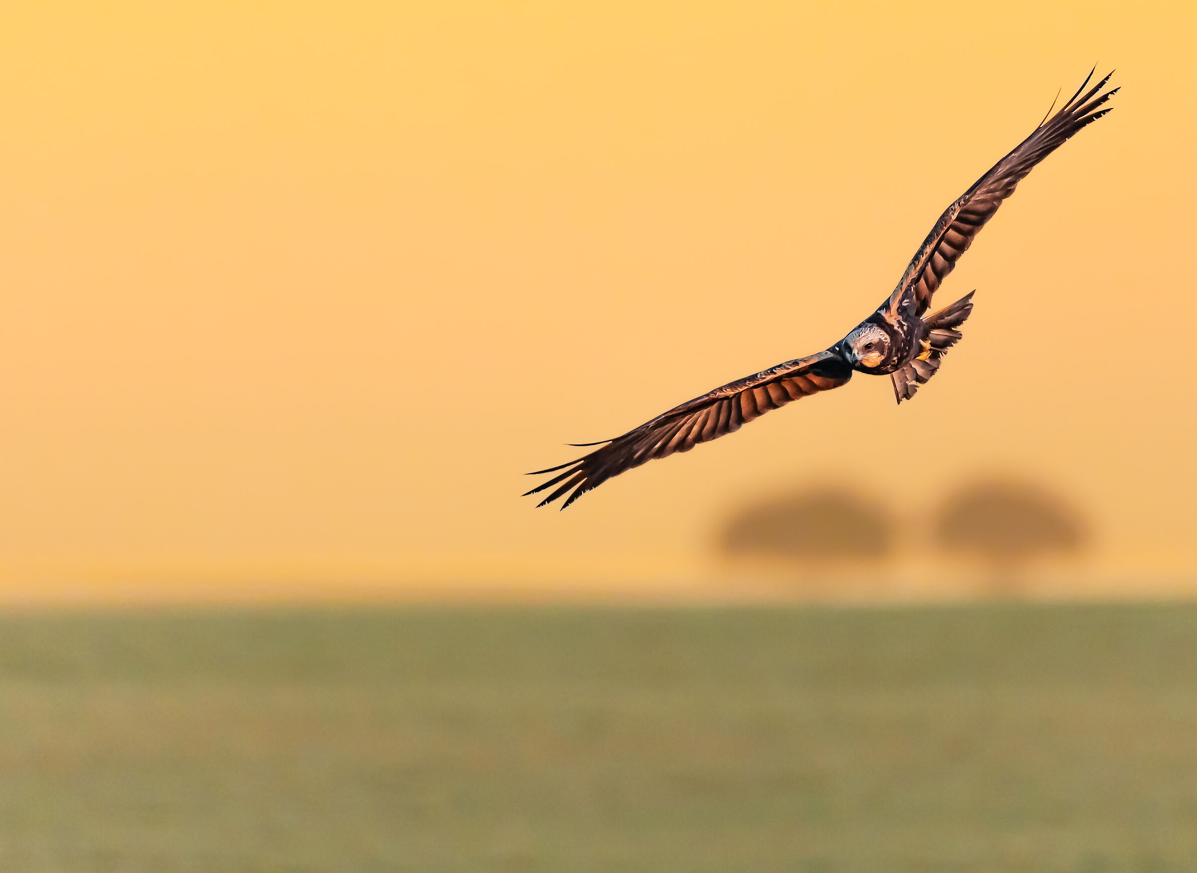 when the sun goes down