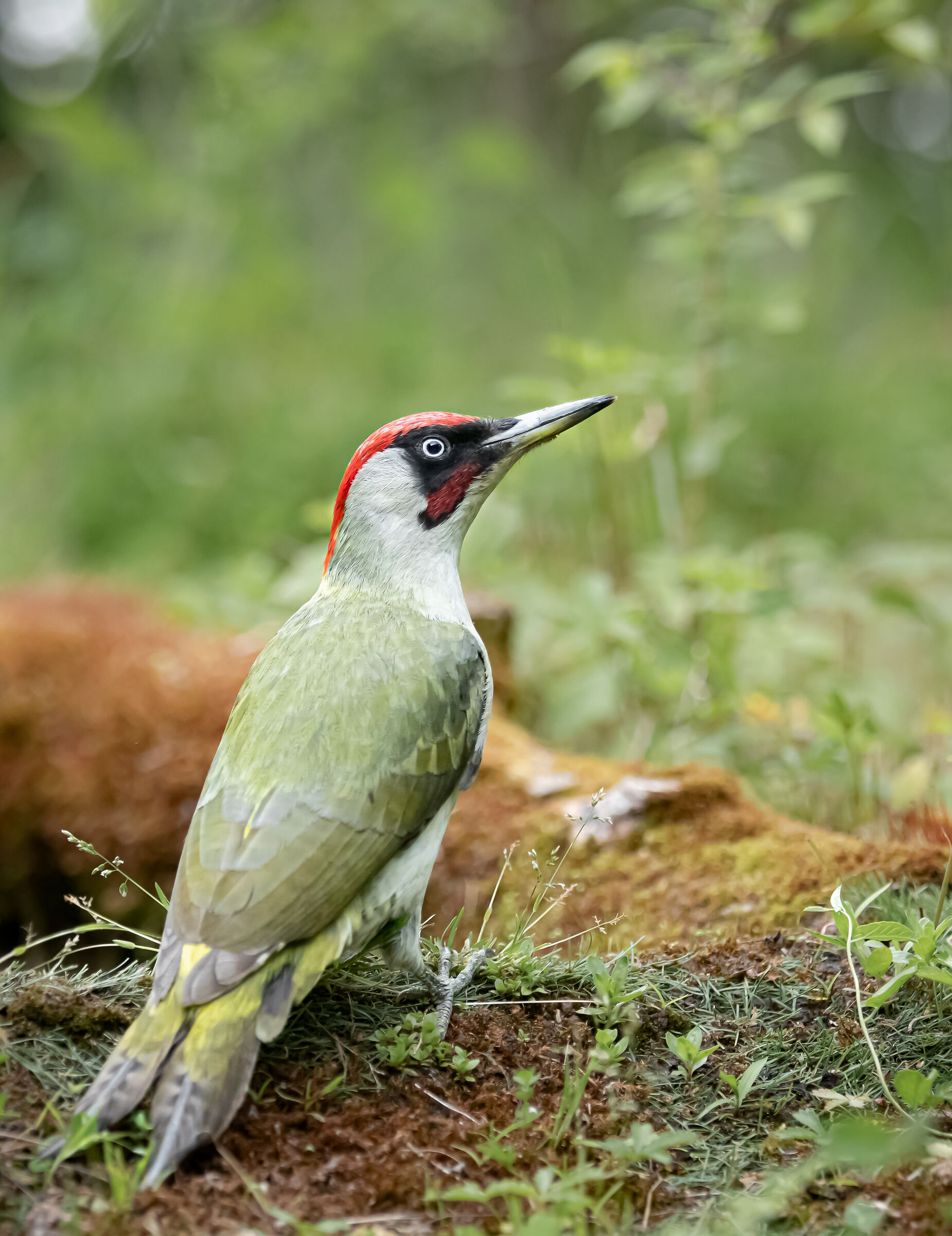 un tocco di speranza | a touch of hope