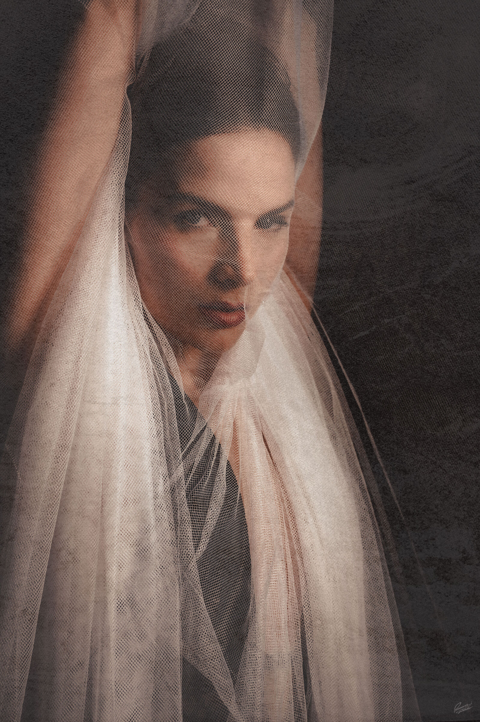 Veil