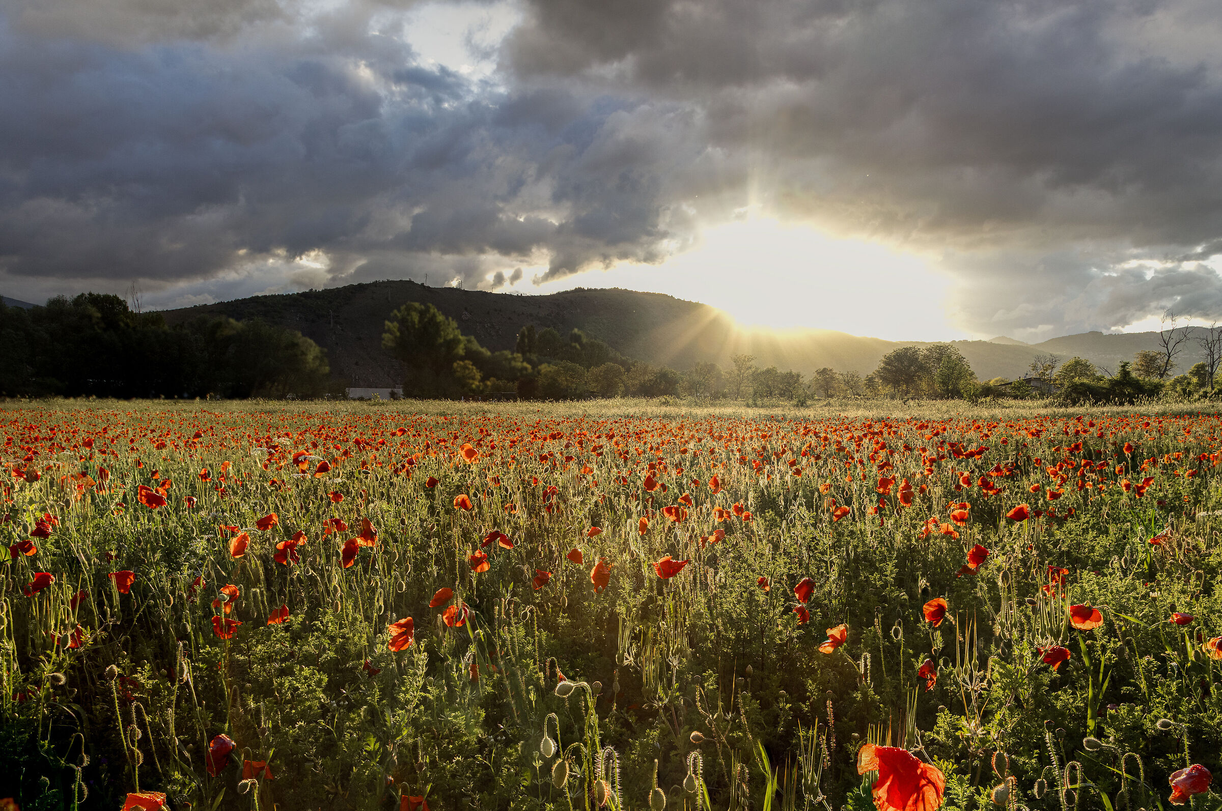 Dopo la pioggia un po' di sole