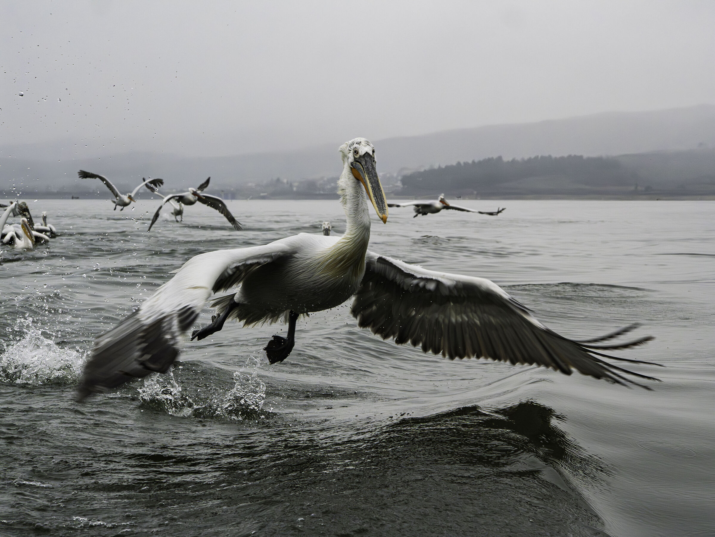 Untitled Photo