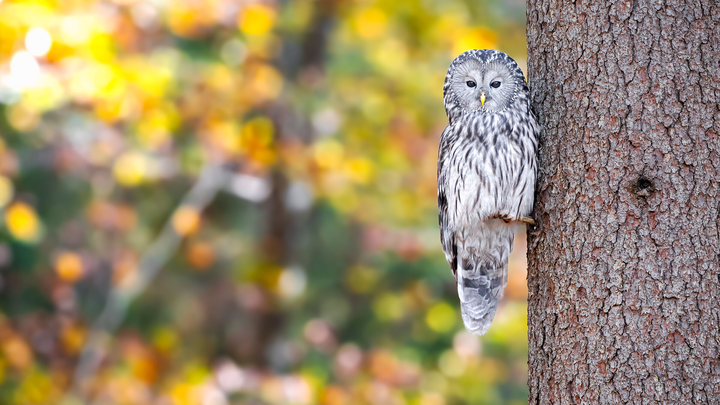 I wouldn't have seen it if I hadn't believed it