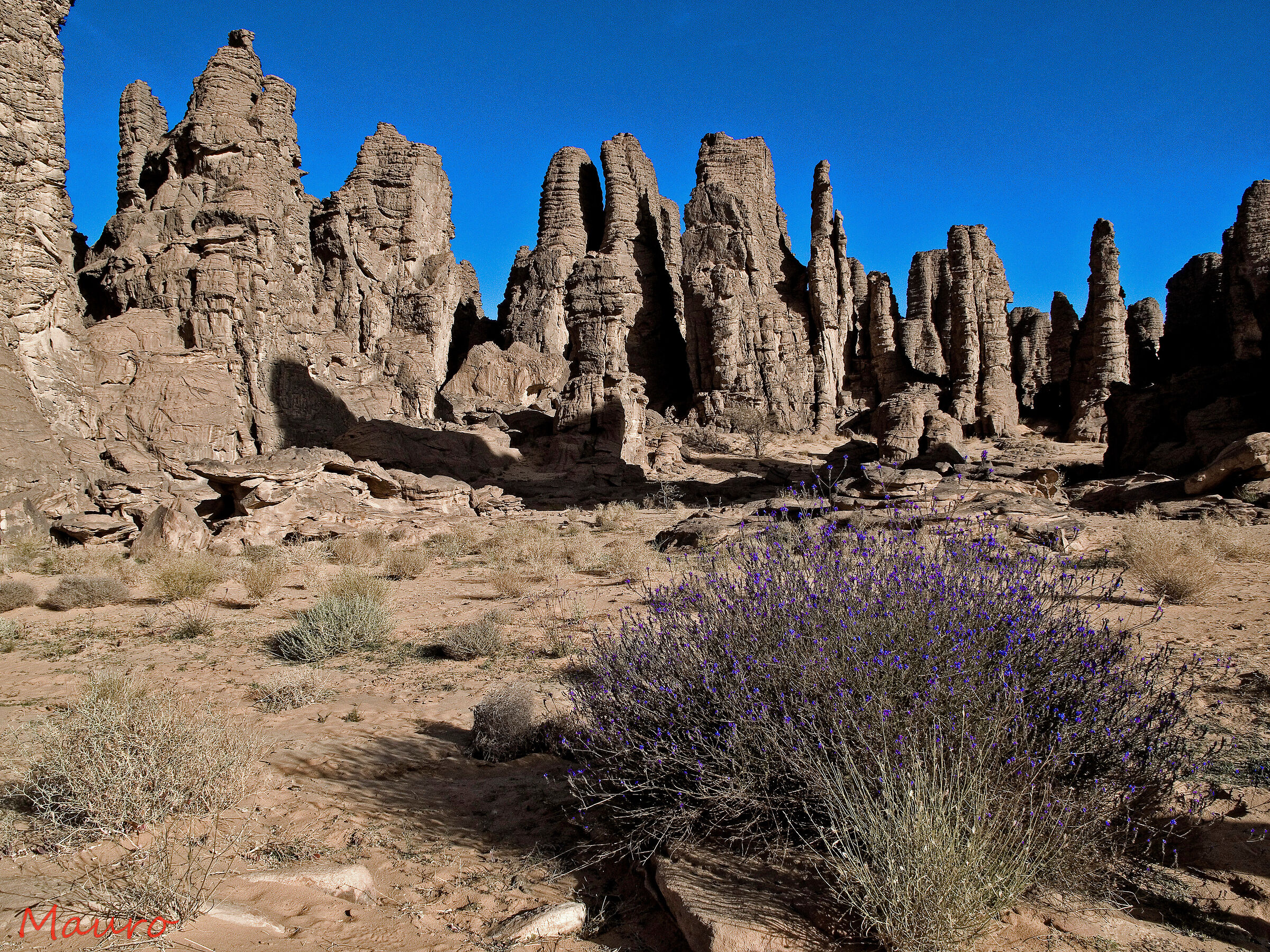 Algeria Tassili N' Ajjer