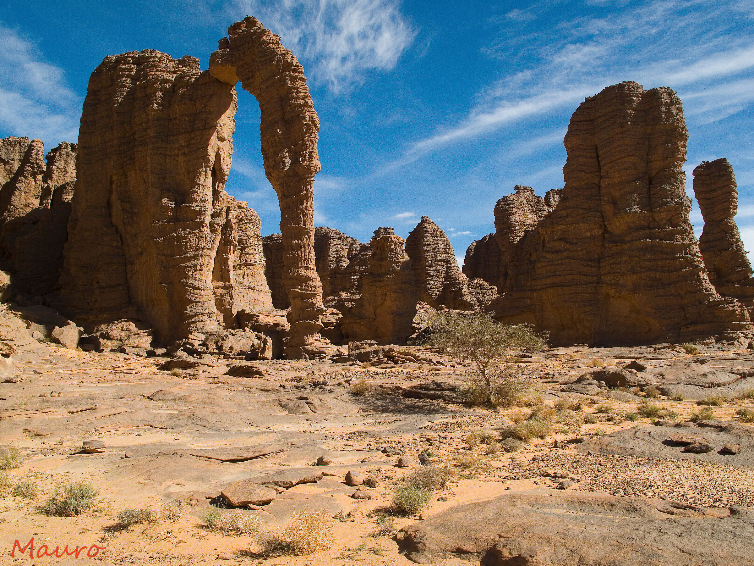 Algeria Tassili N' Ajjer