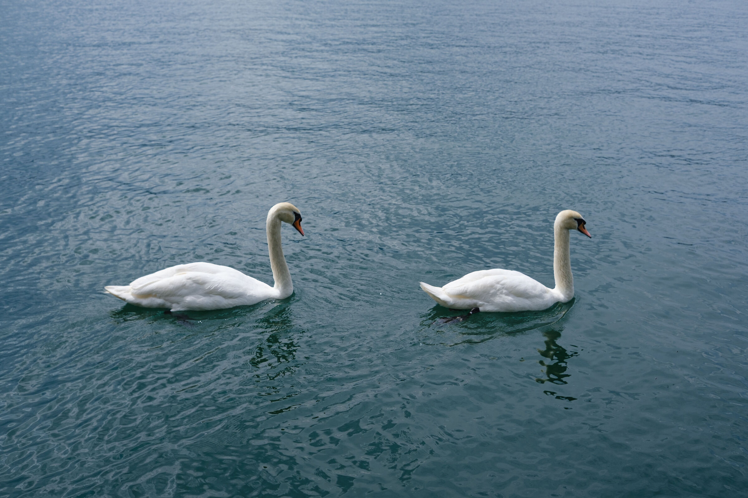 Synchronized
