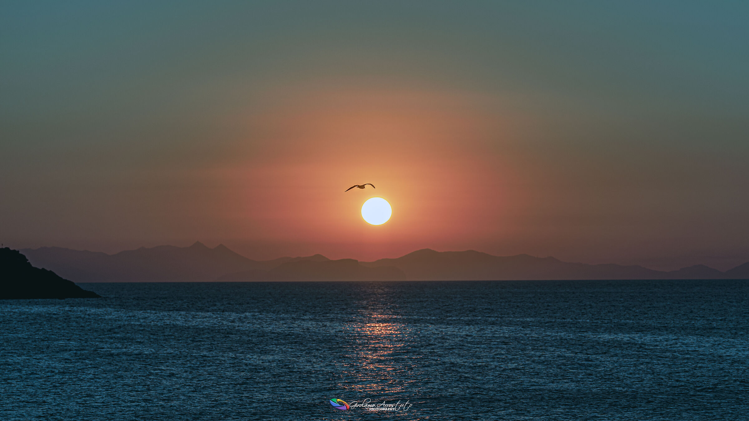 Volo di gabbiano al tramonto