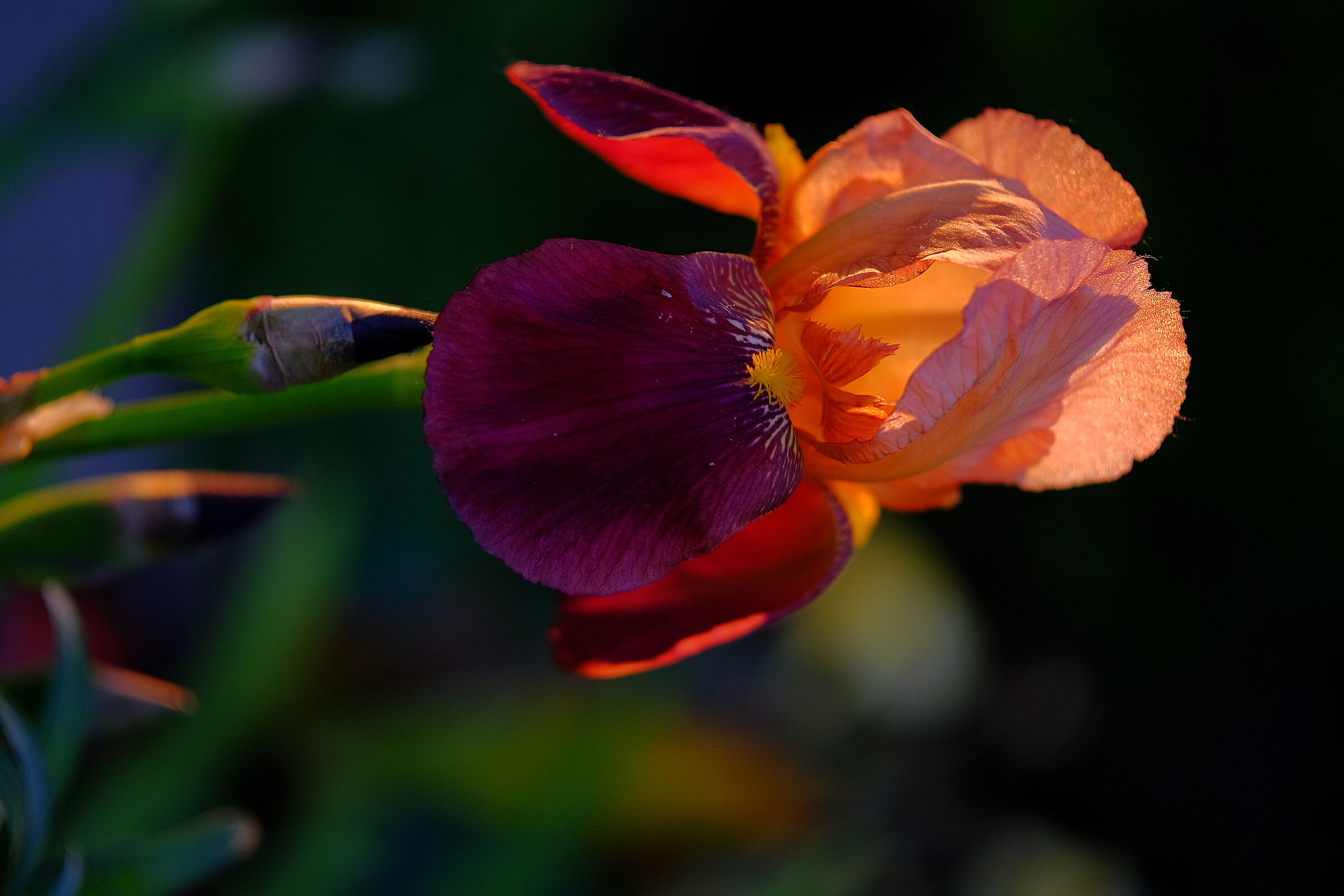 Untitled Photo