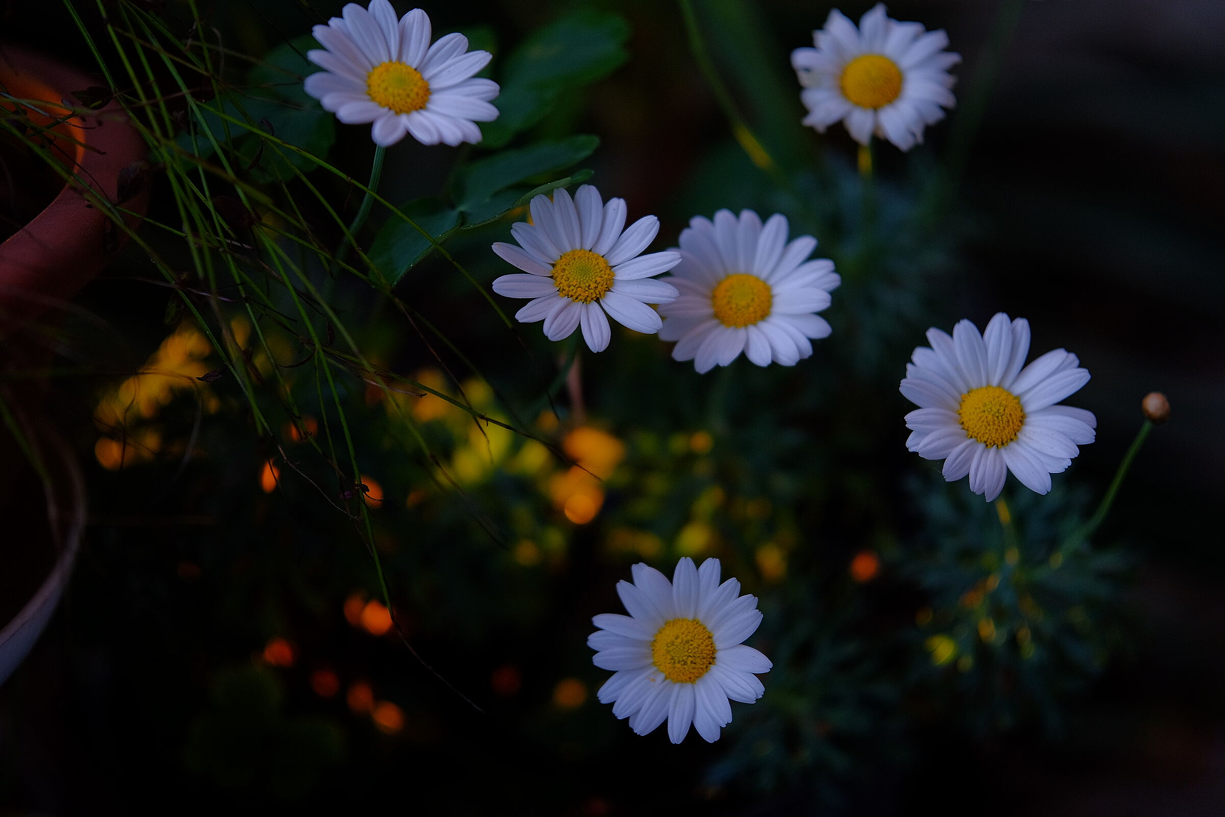 Untitled Photo