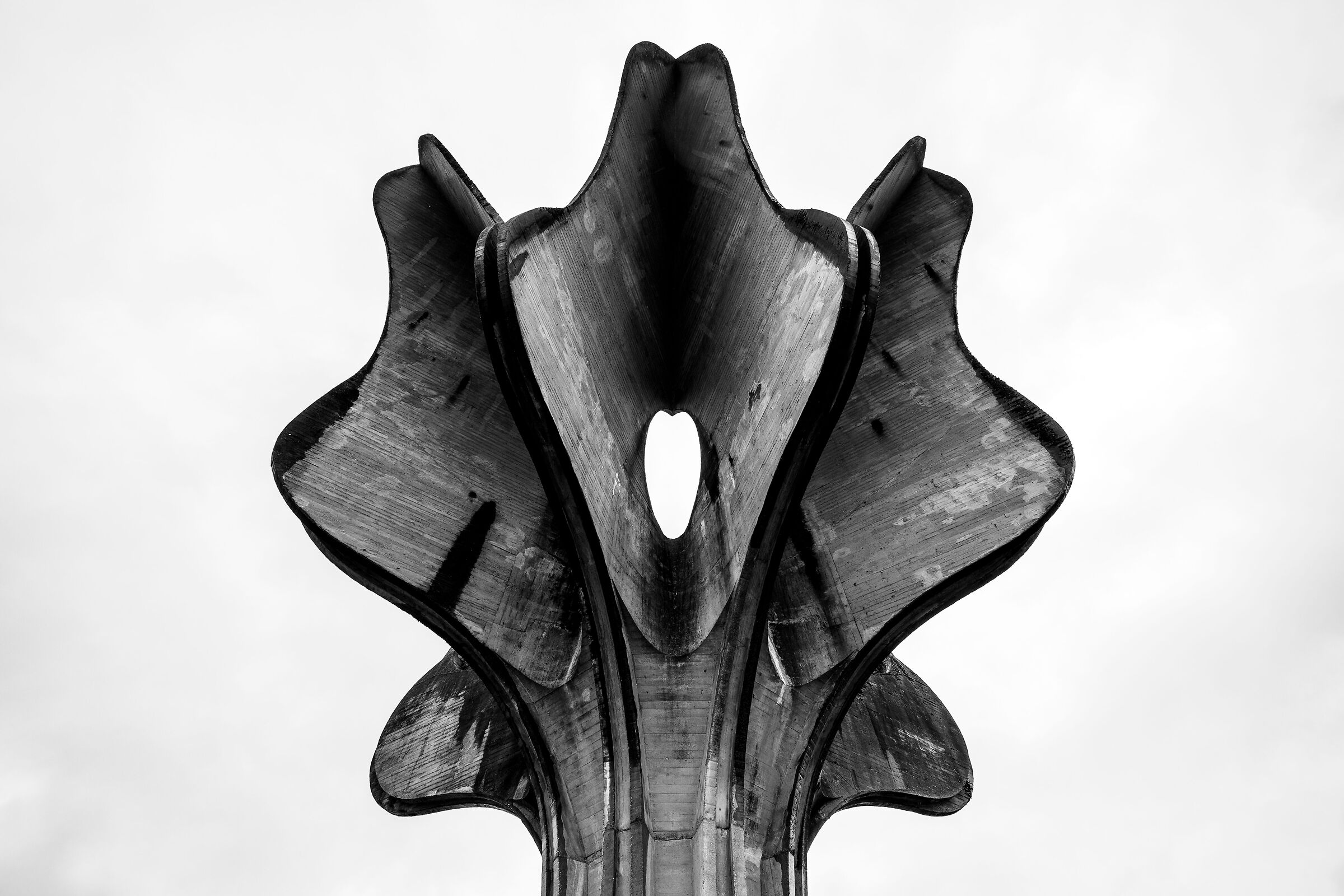 Il fiore di Jasenovac