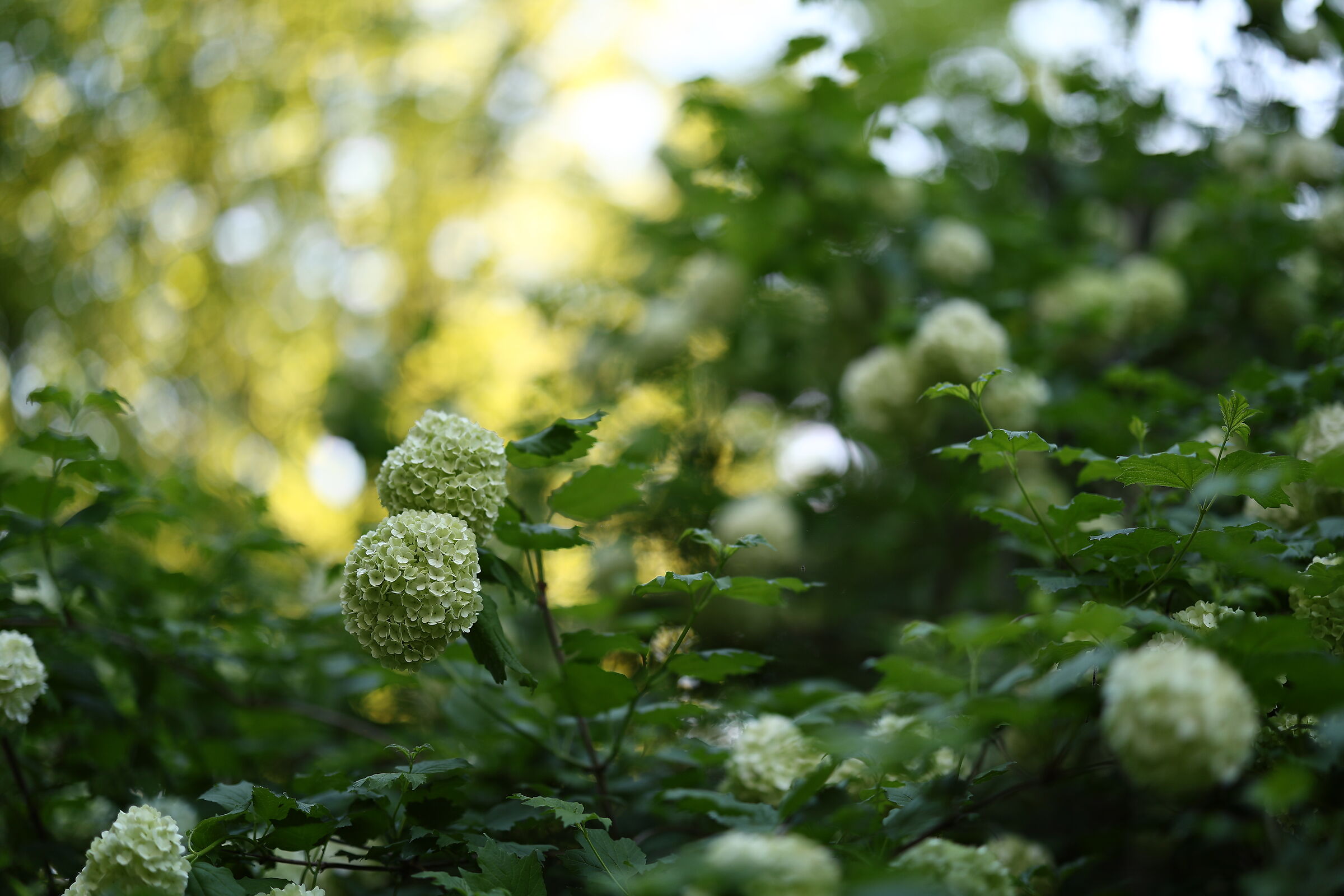 Untitled Photo