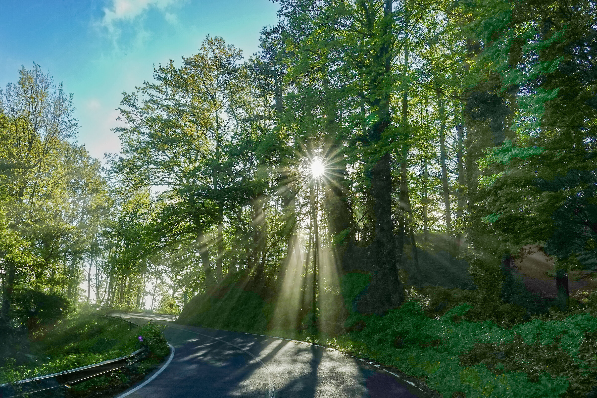 Morning Light (La Cascata di Luce )