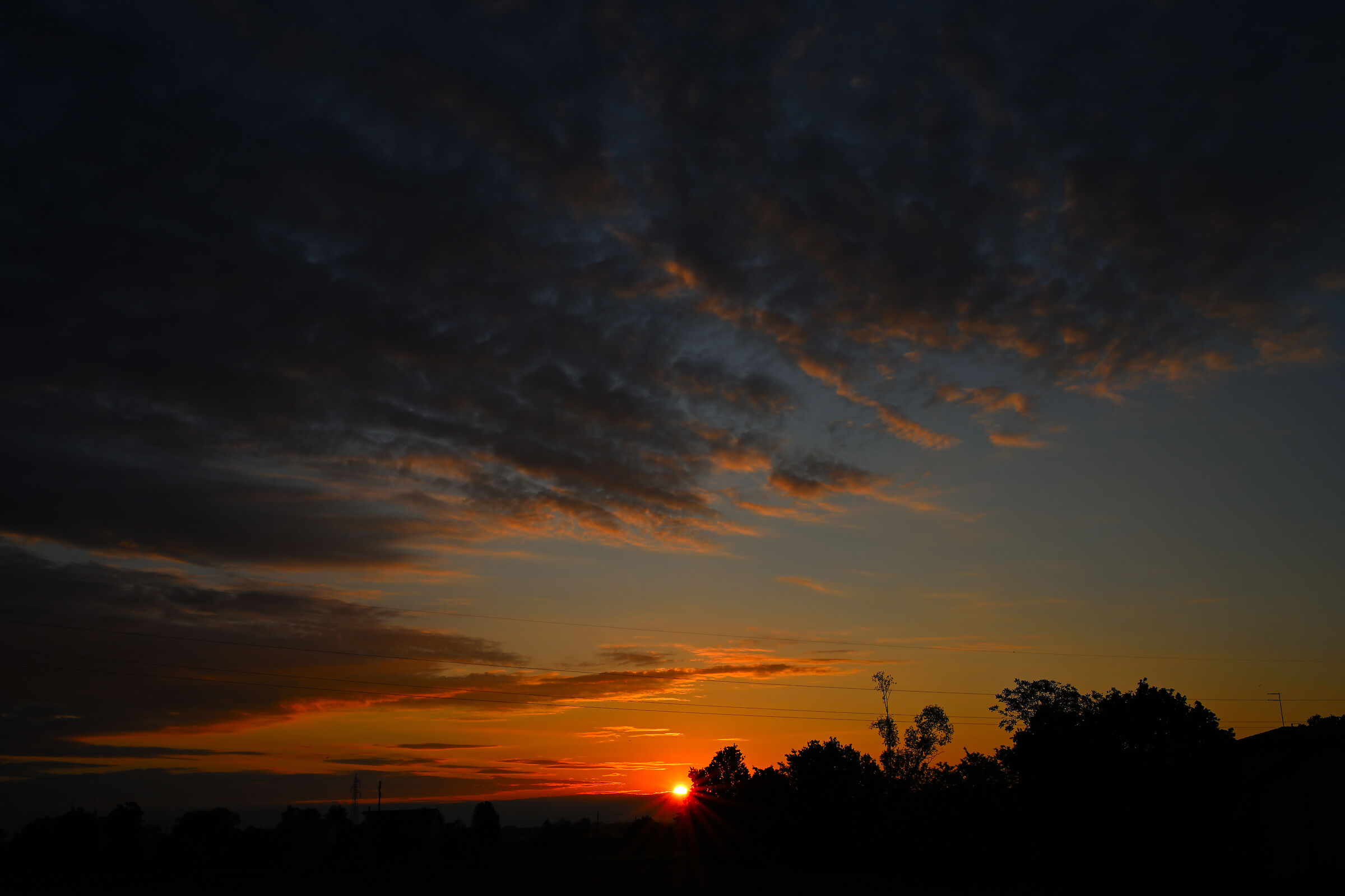 Untitled Photo