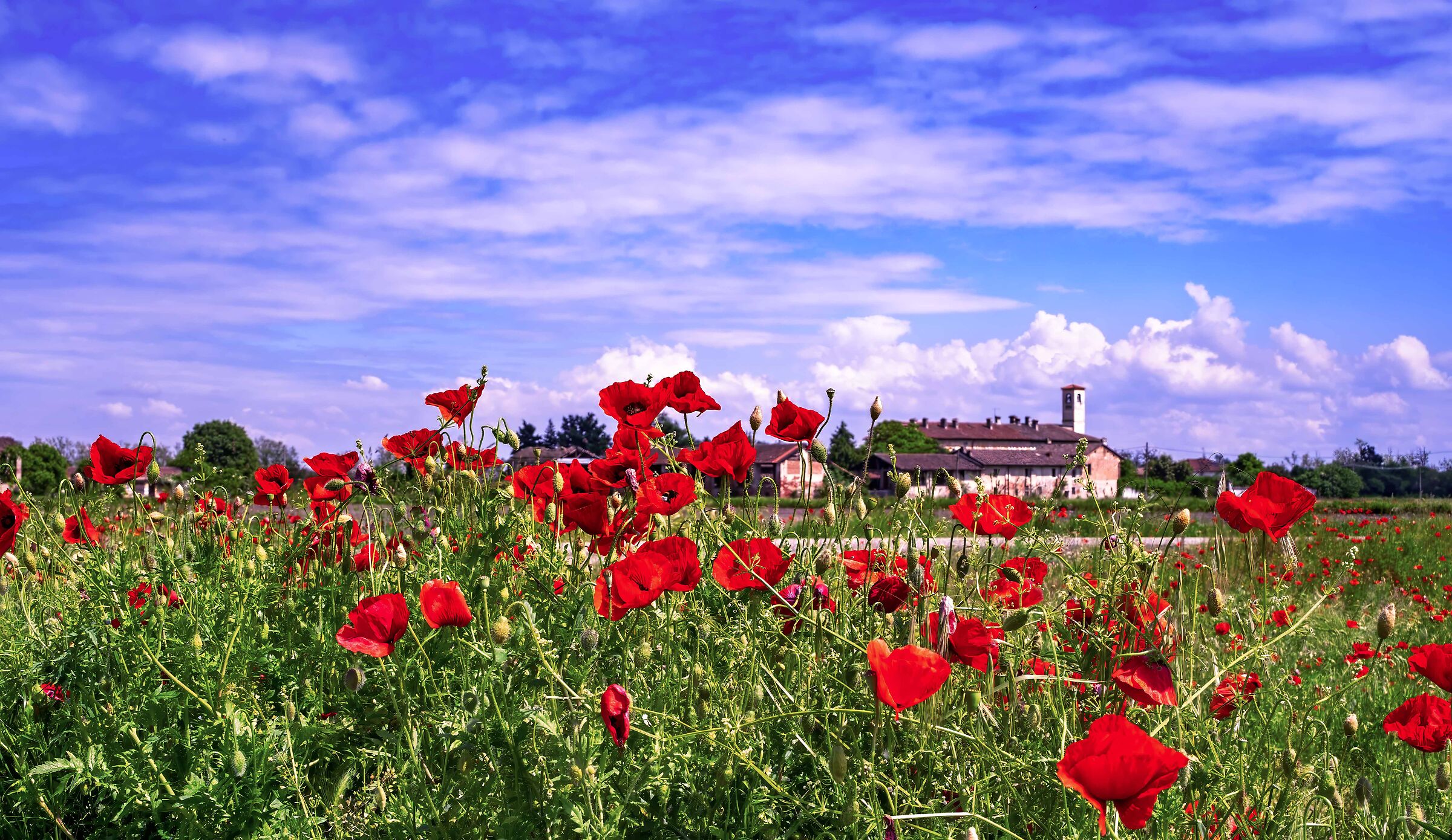 Una chiesetta di campagna