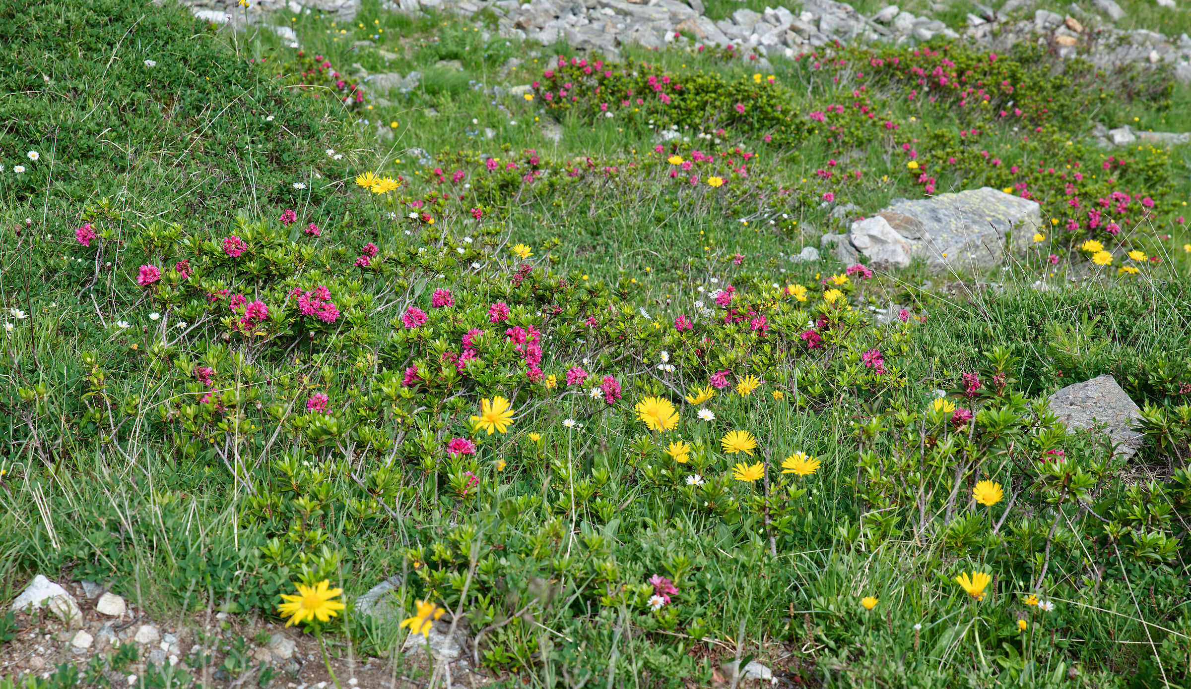 Val Formazza-Fondovalle-Lago Superiore