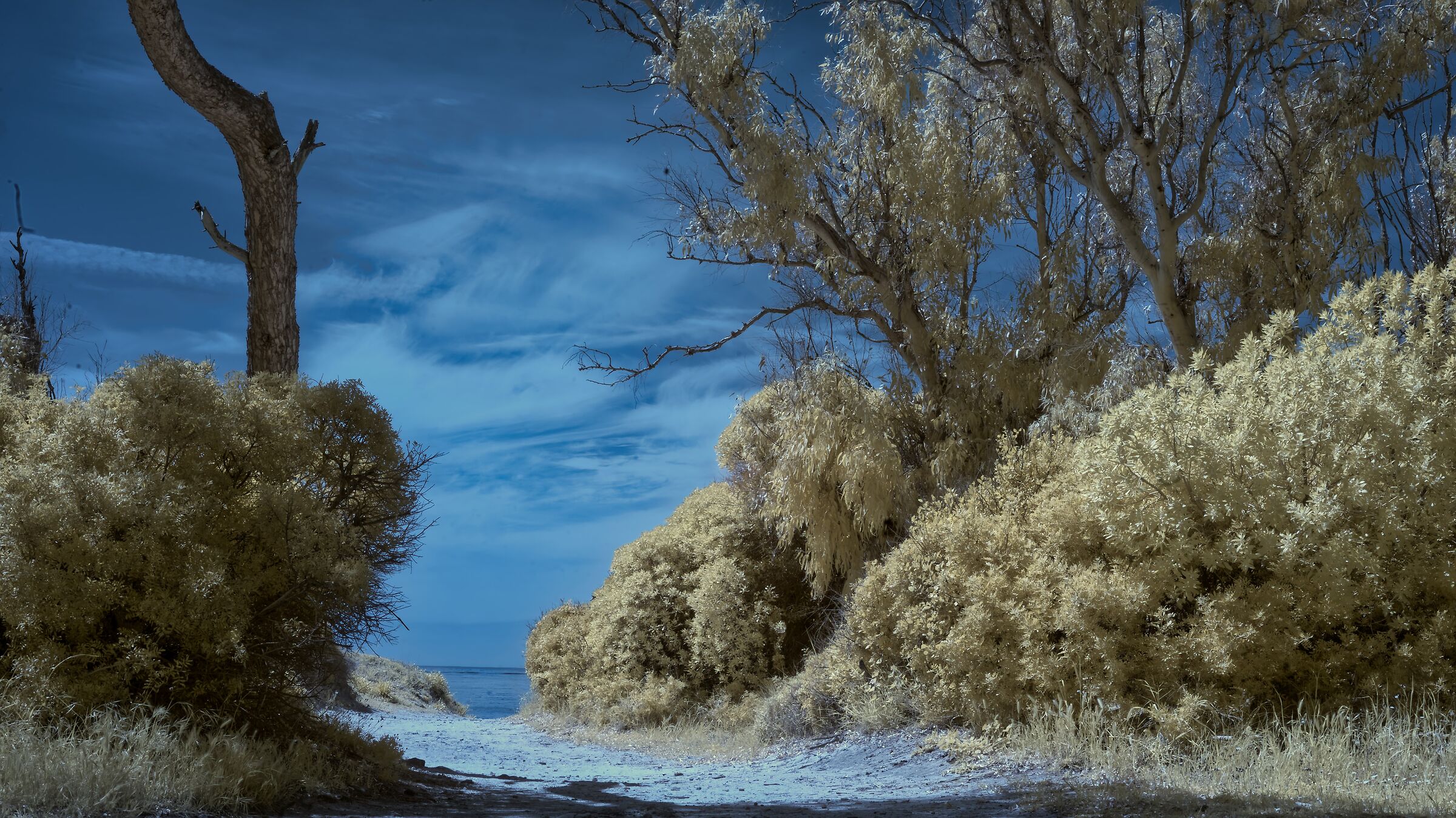Alghero infrared