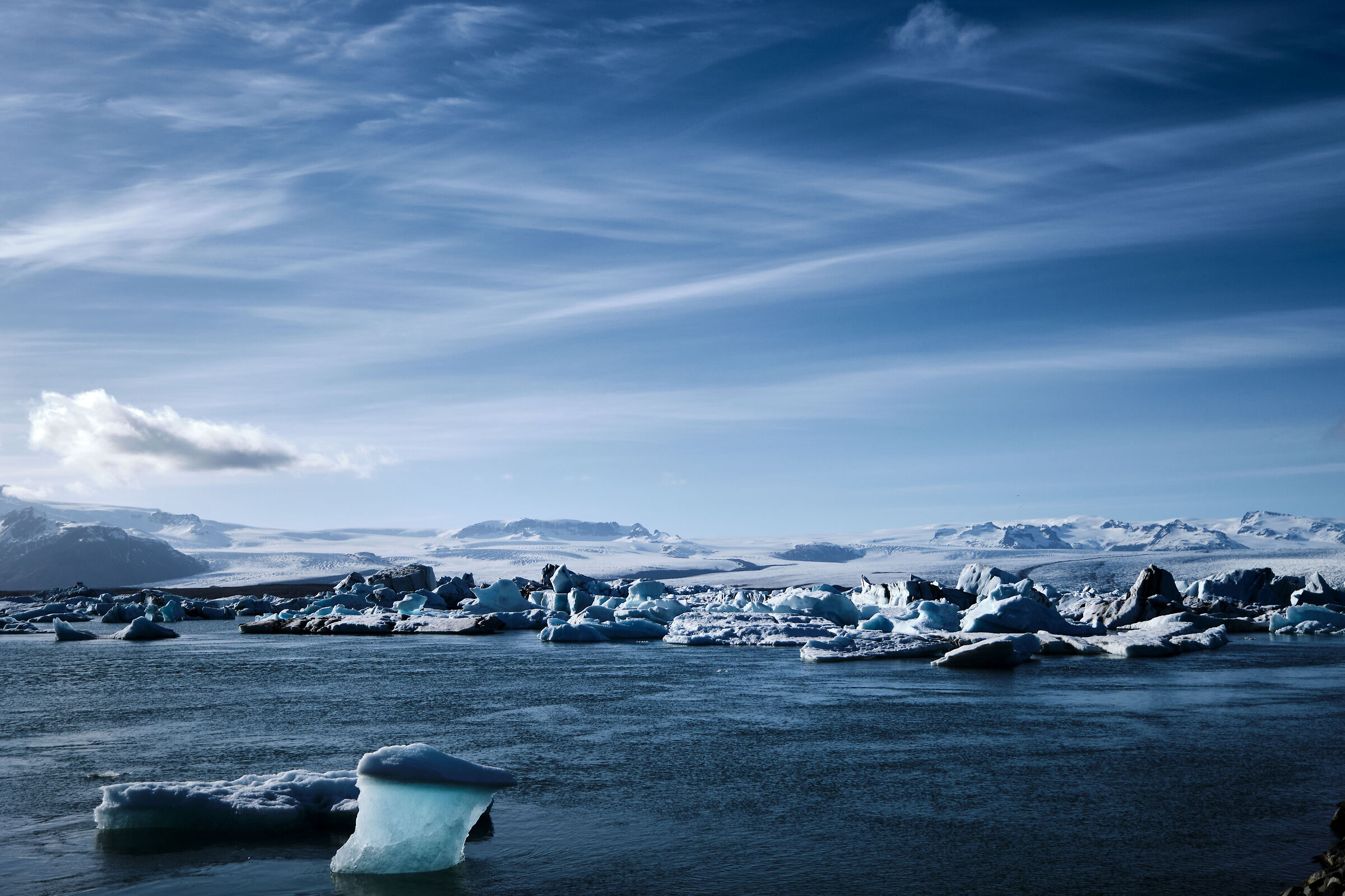 Frozen Lagura