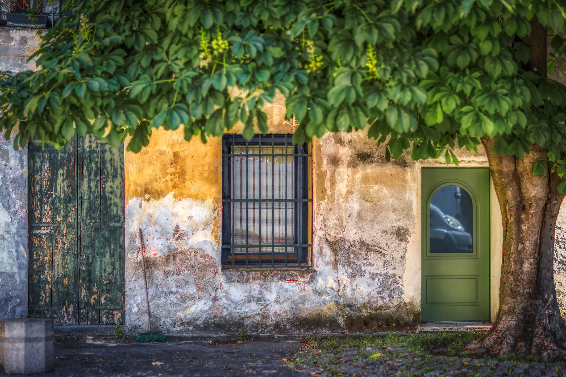 Treviso
