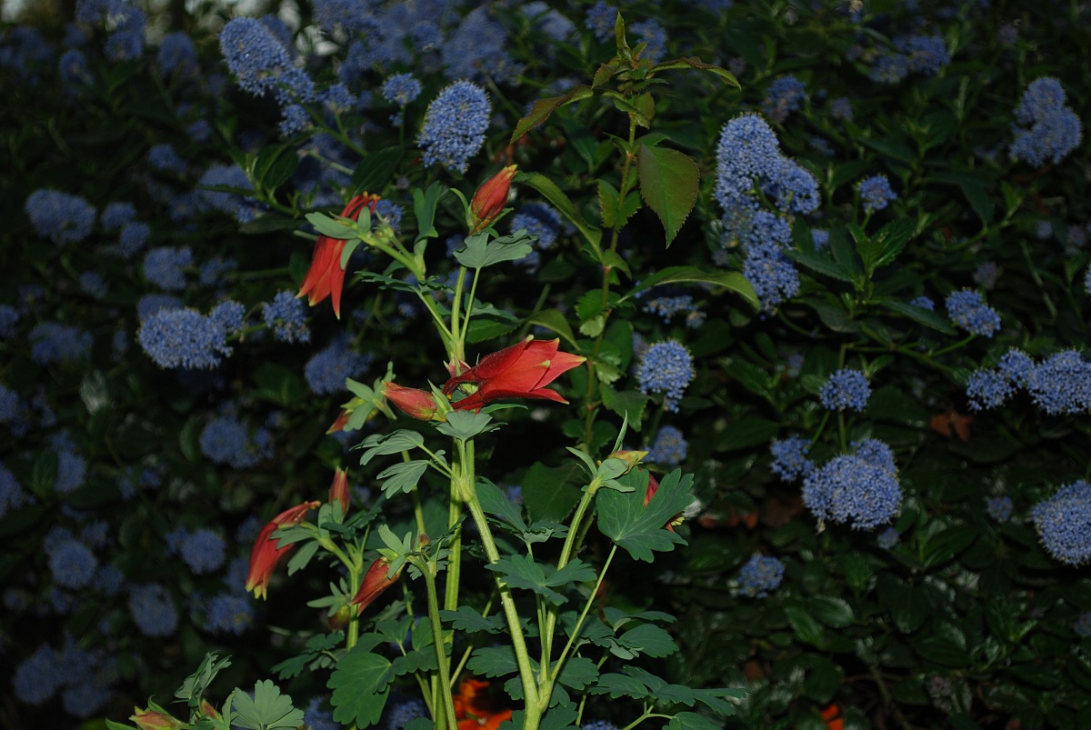 evidence of light and dark