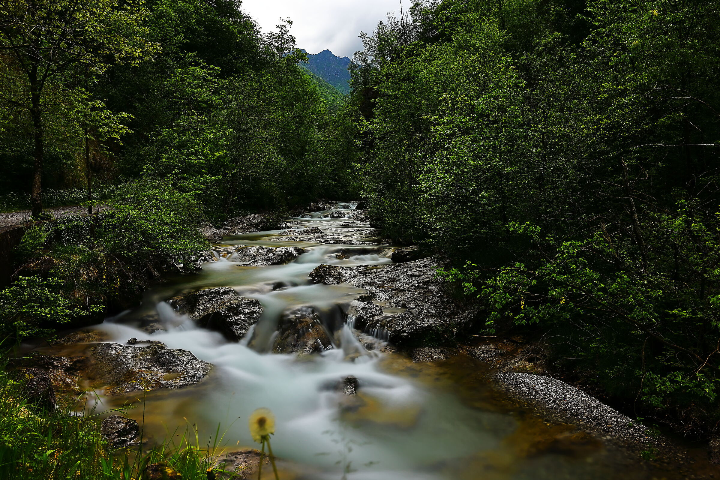 Torrente in Val Vertova