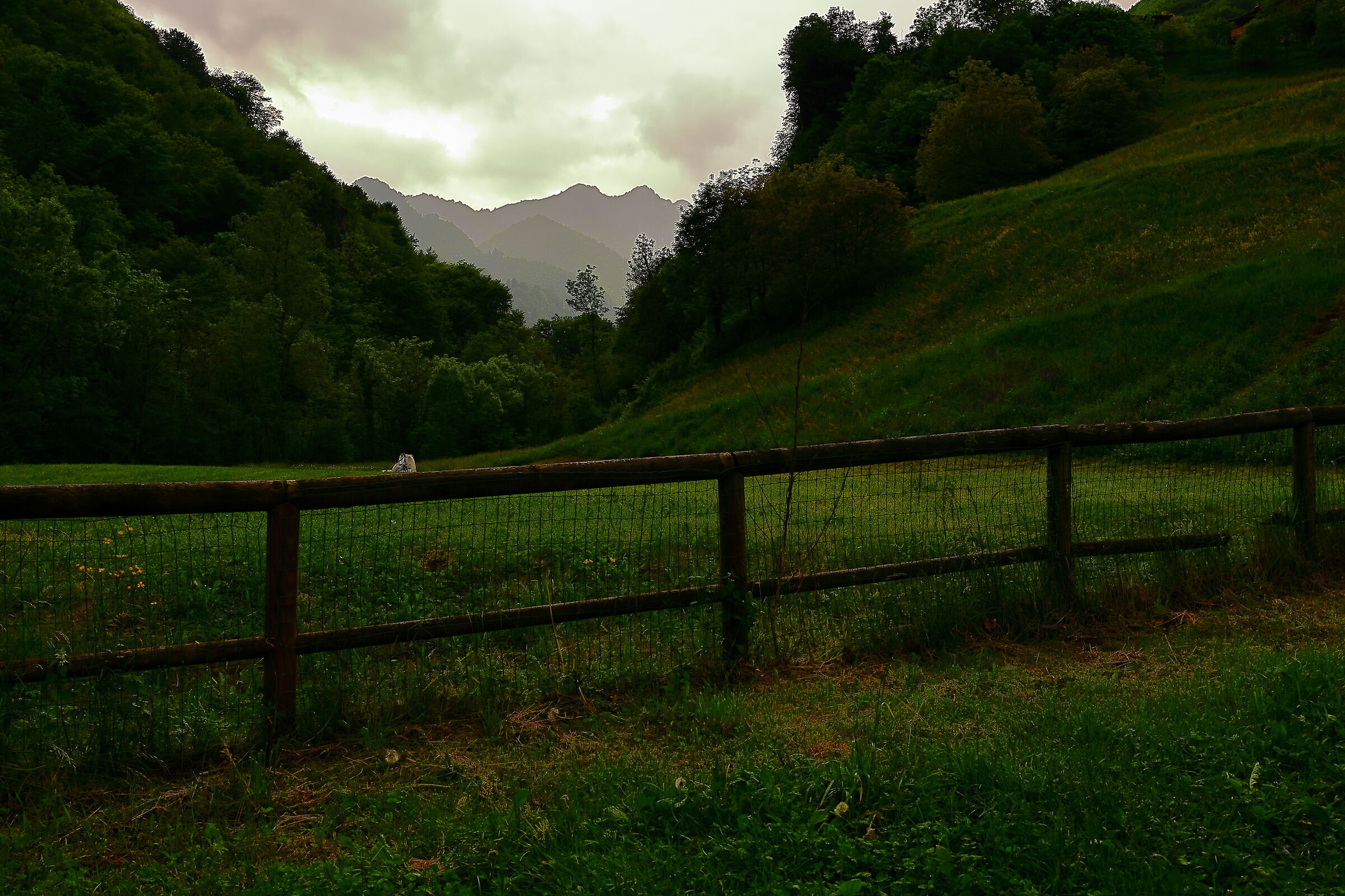 Val Vertova