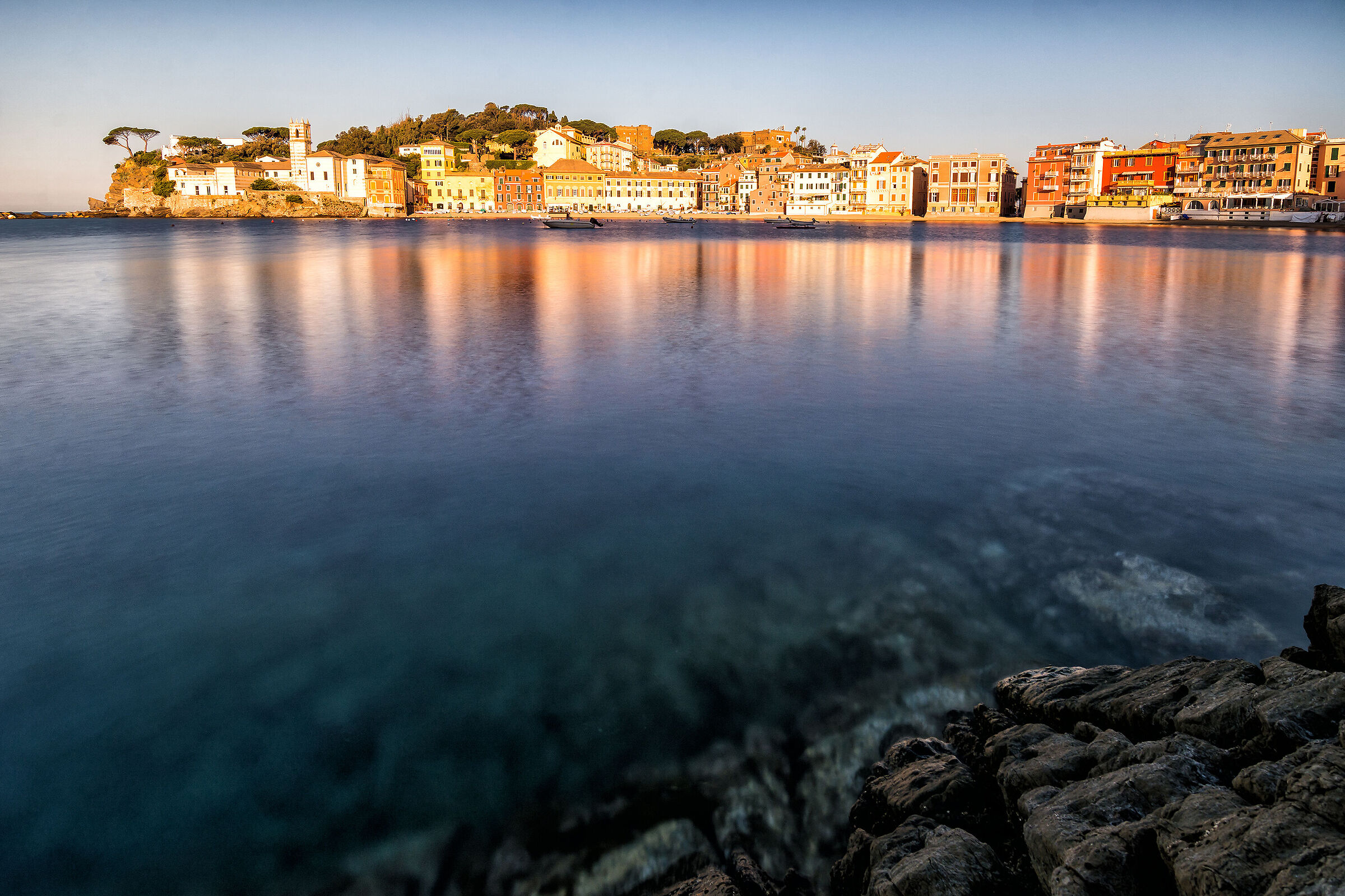 Illuminated by the morning light