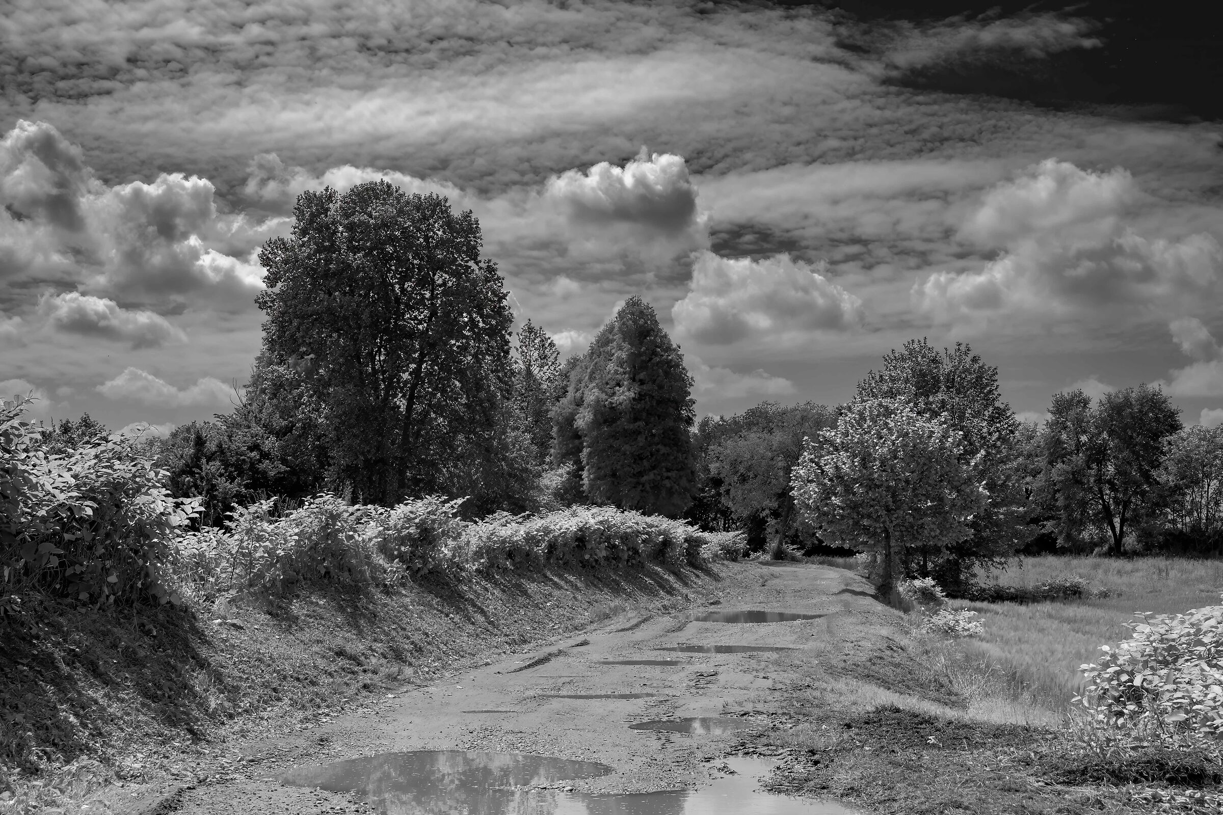 Dopo la pioggia.......