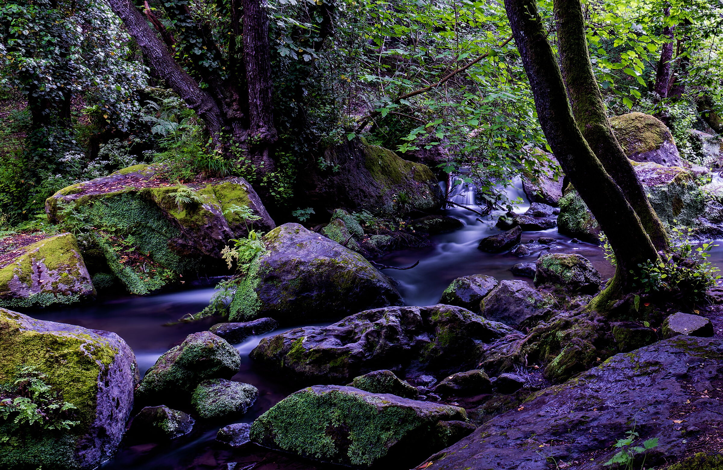 Sorella Acqua Parco naturale regionale Valle del Treia