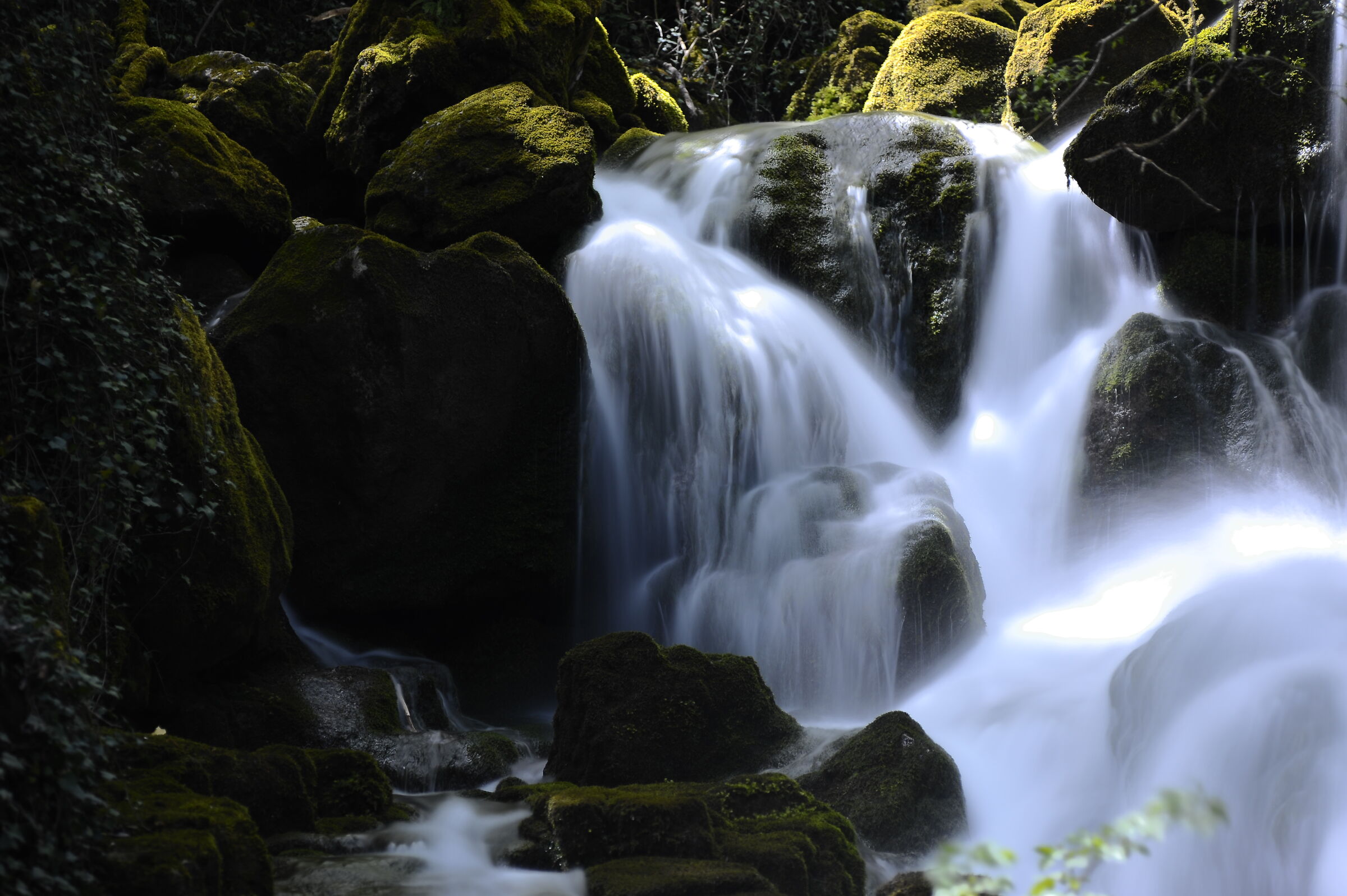 Acqua in penombra
