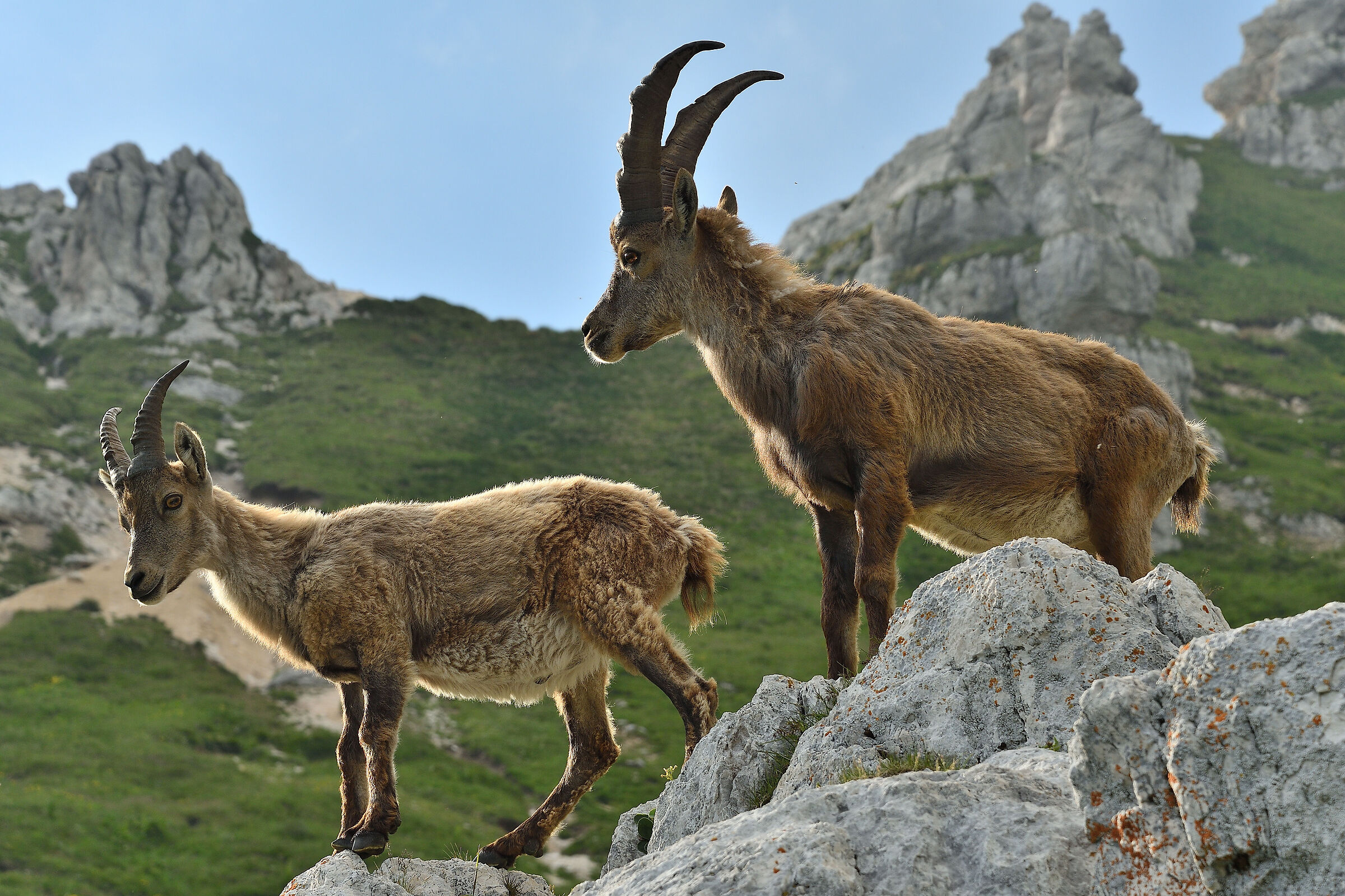 Ai piedi del Montasio