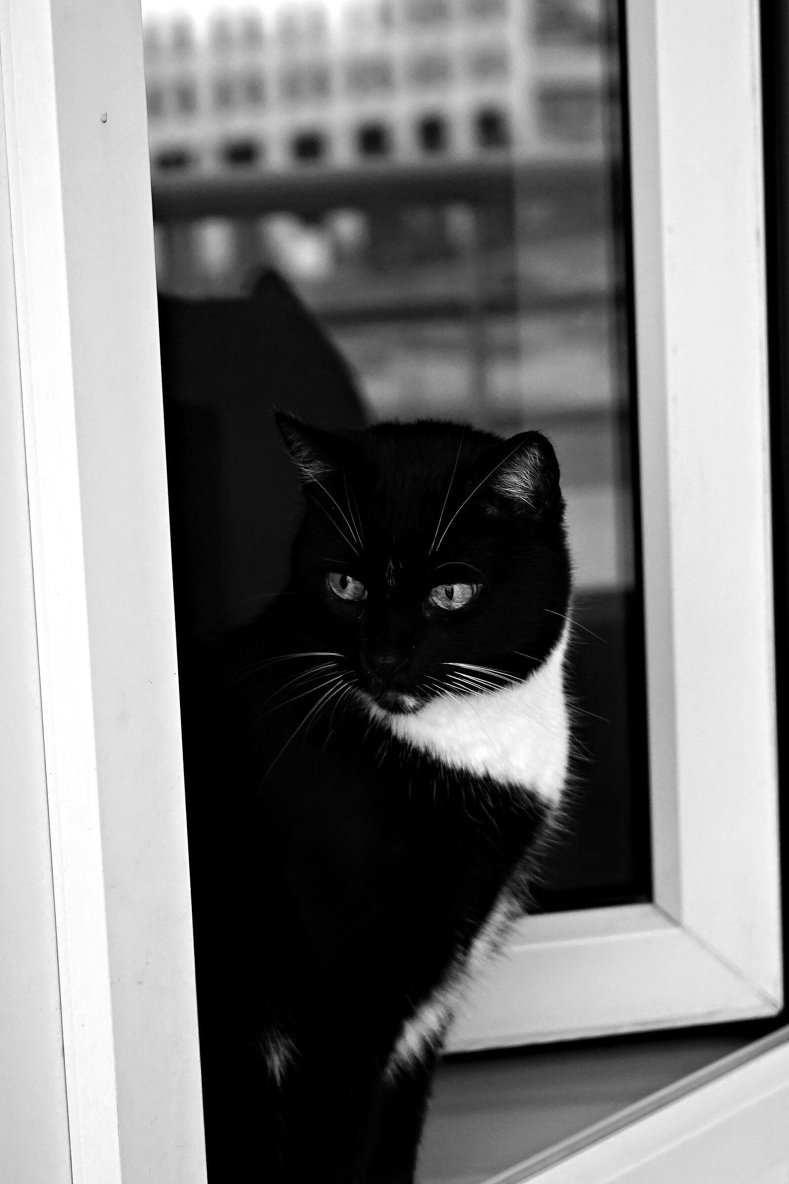 He's coming, I hope he bought...