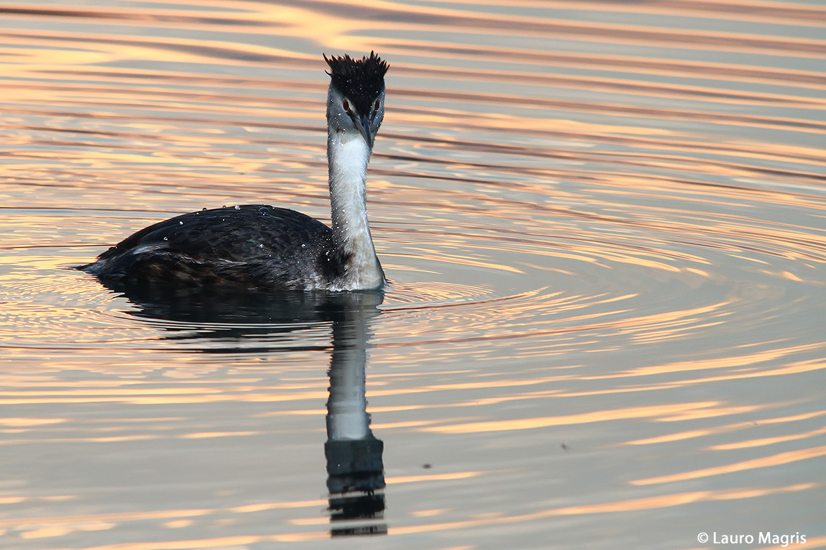 Svasso Maggiore al tramonto 2