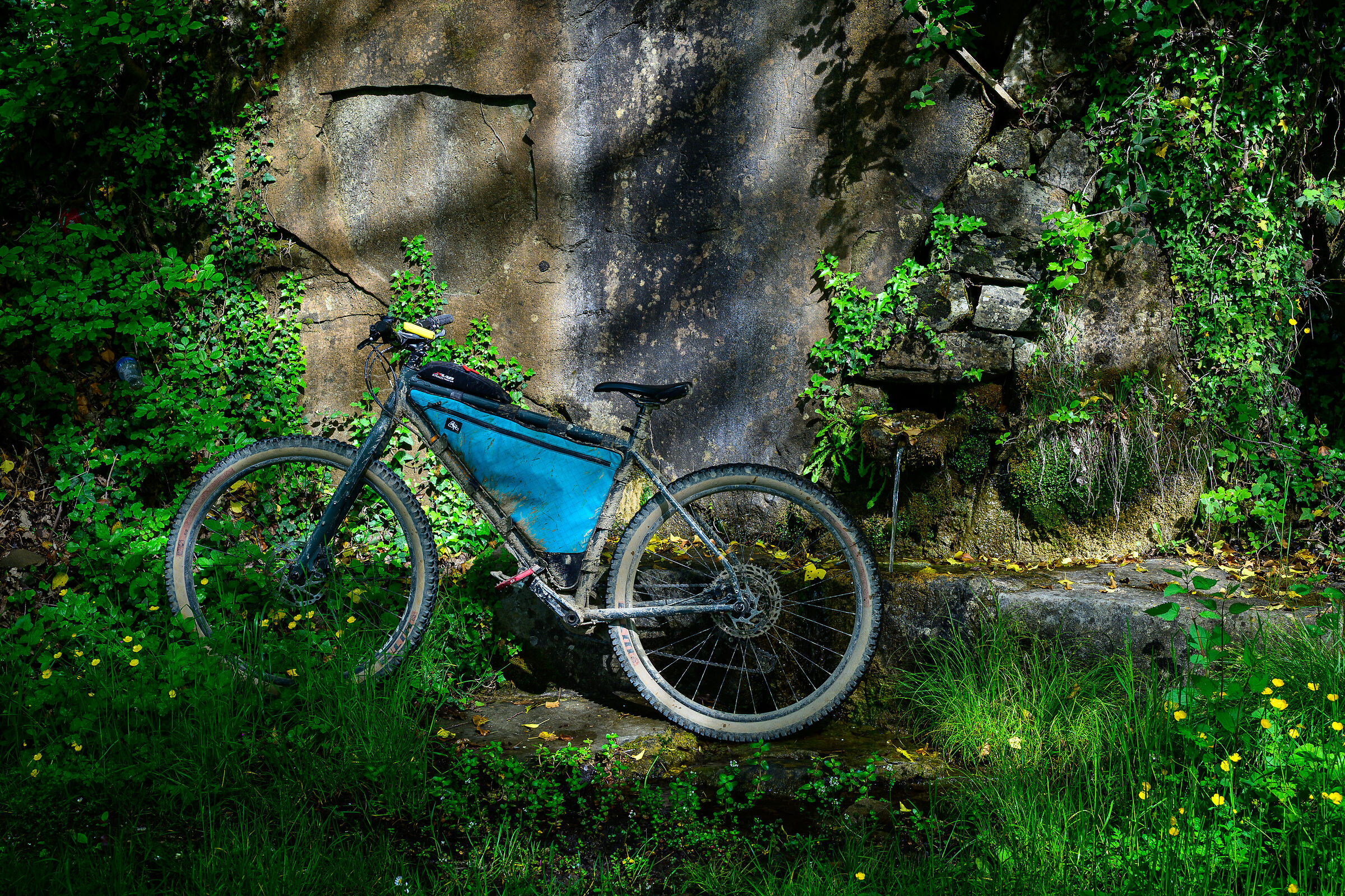 Fonte della giovinezza