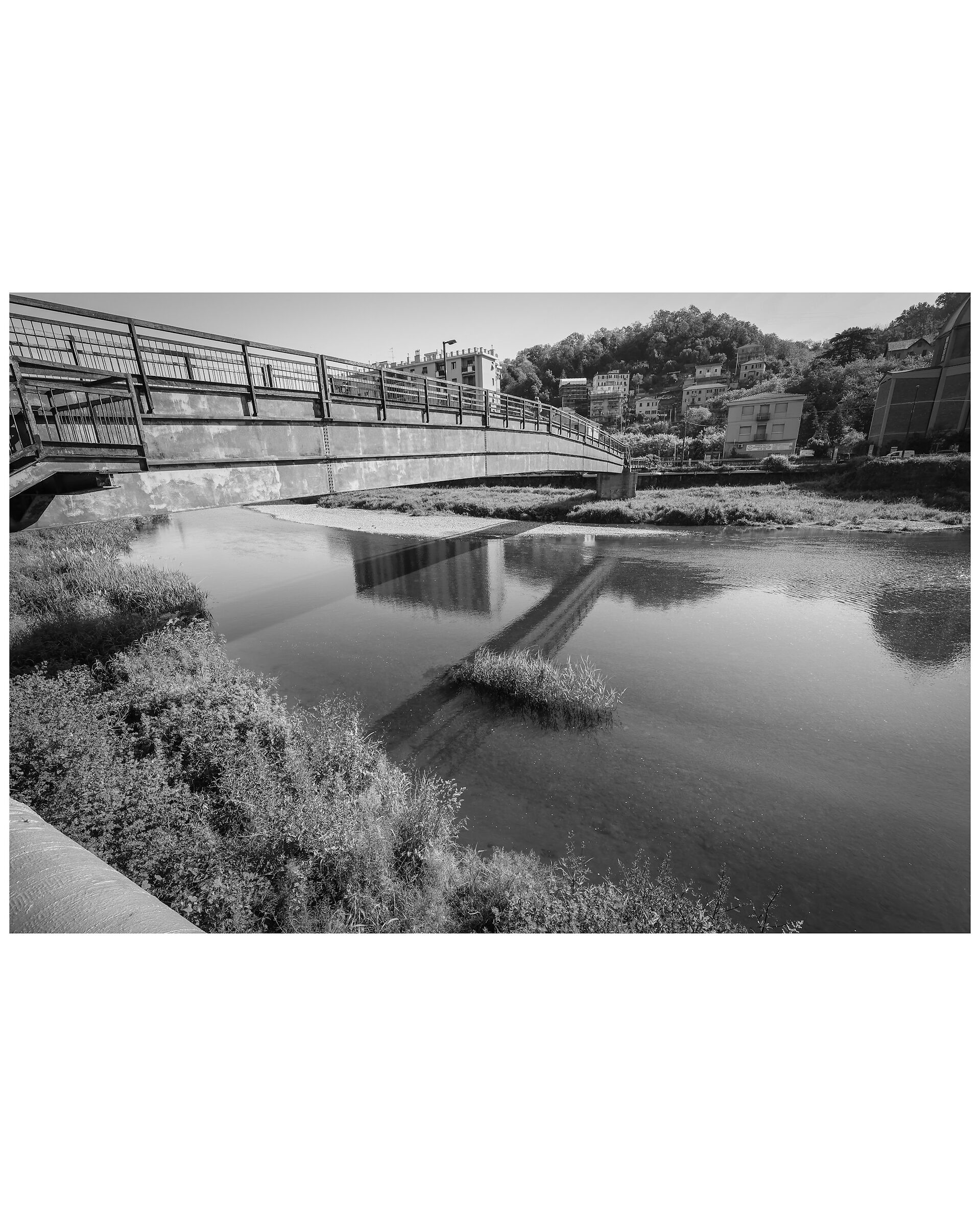 Polcevera Stream (Genoa)