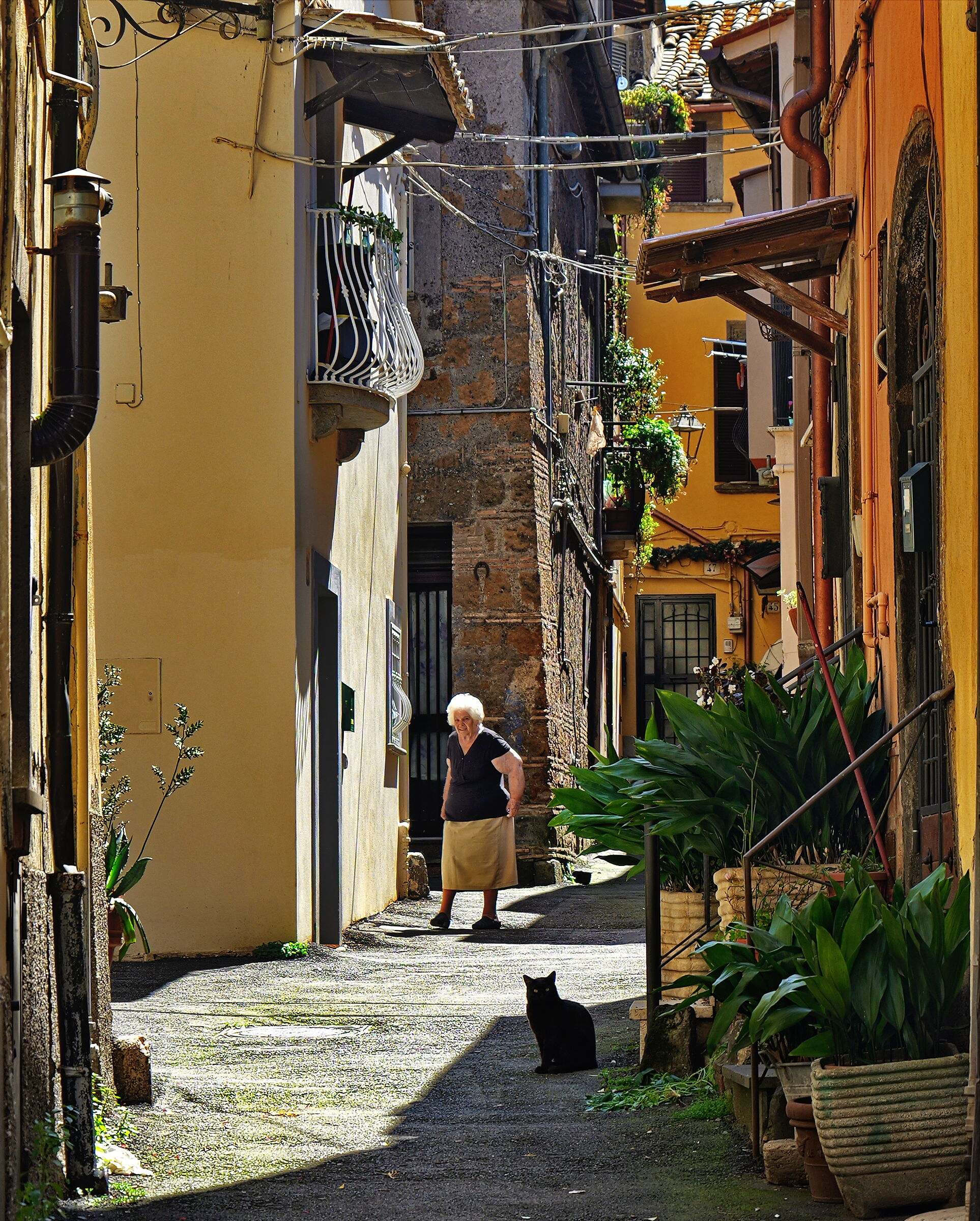 Nepi Per le vie del borgo