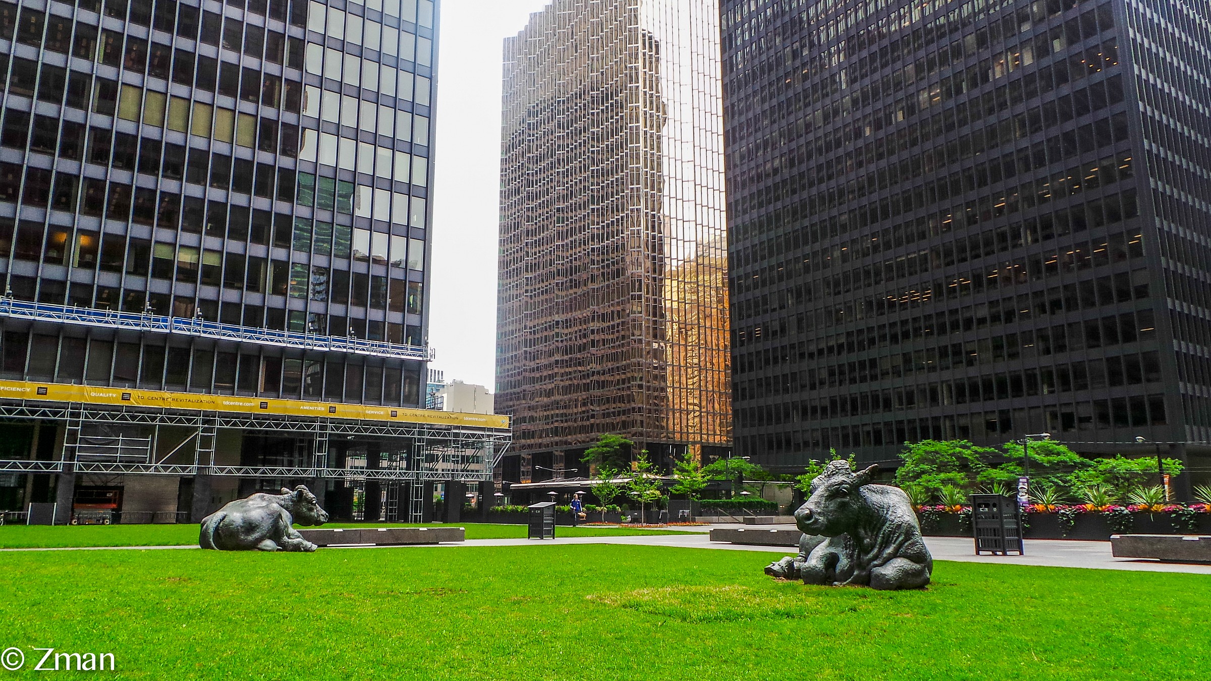 La bellezza di architettura di Toronto