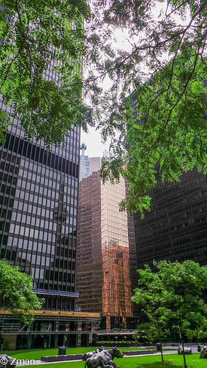 La bellezza di architettura di Toronto