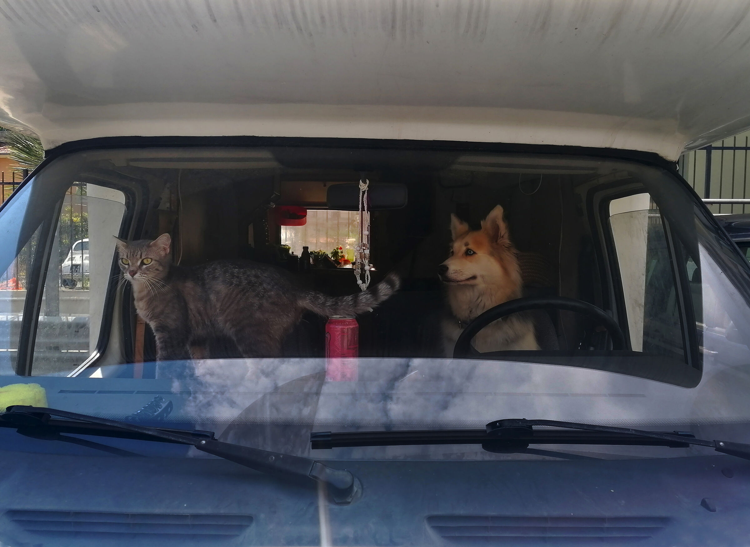 Attenti a quei due!!!