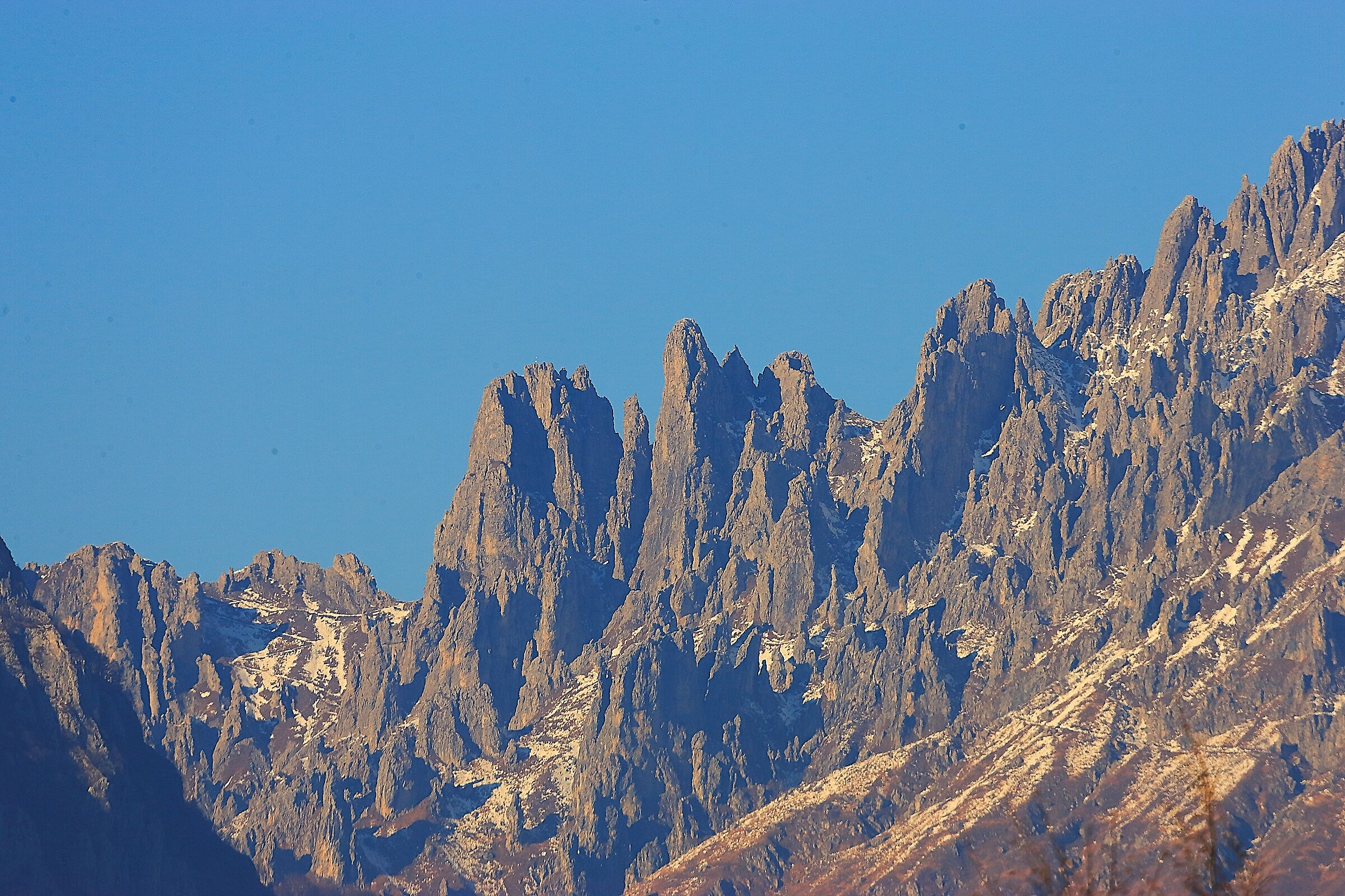 Guglie 13 gennaio 2025 - 0011