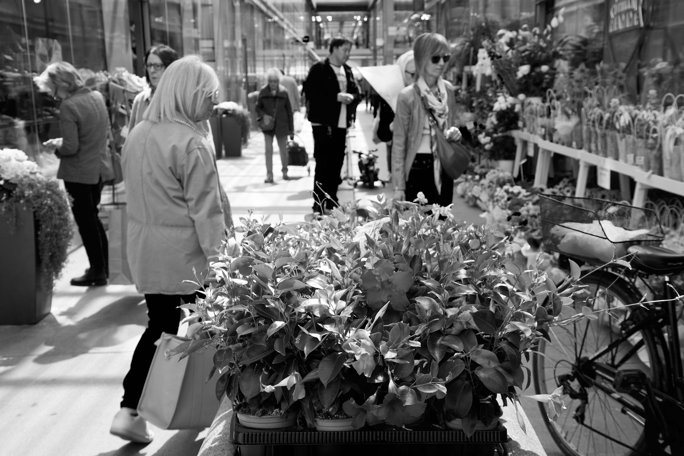 Untitled Photo