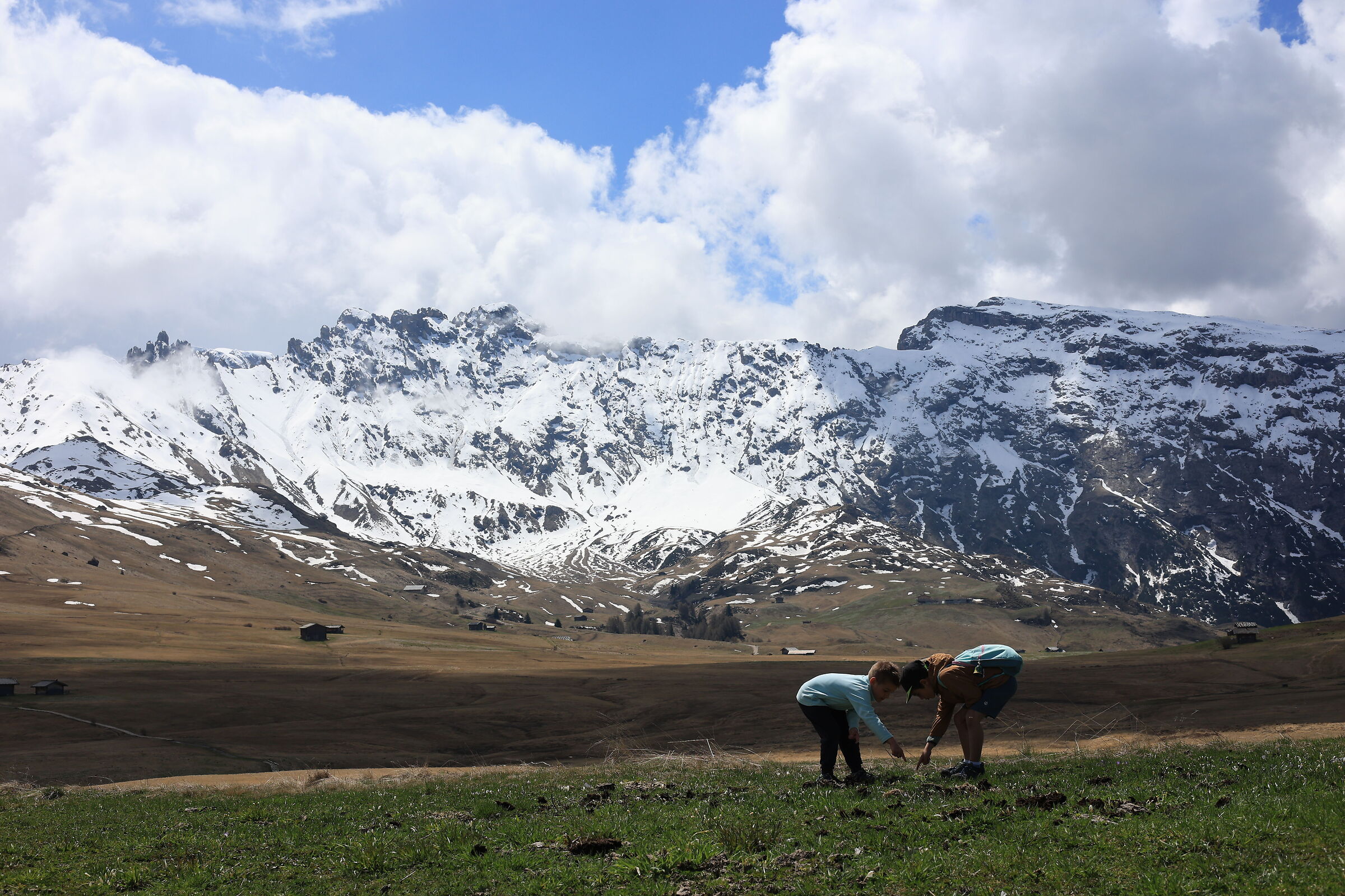Walk on the Alpe di Siusi