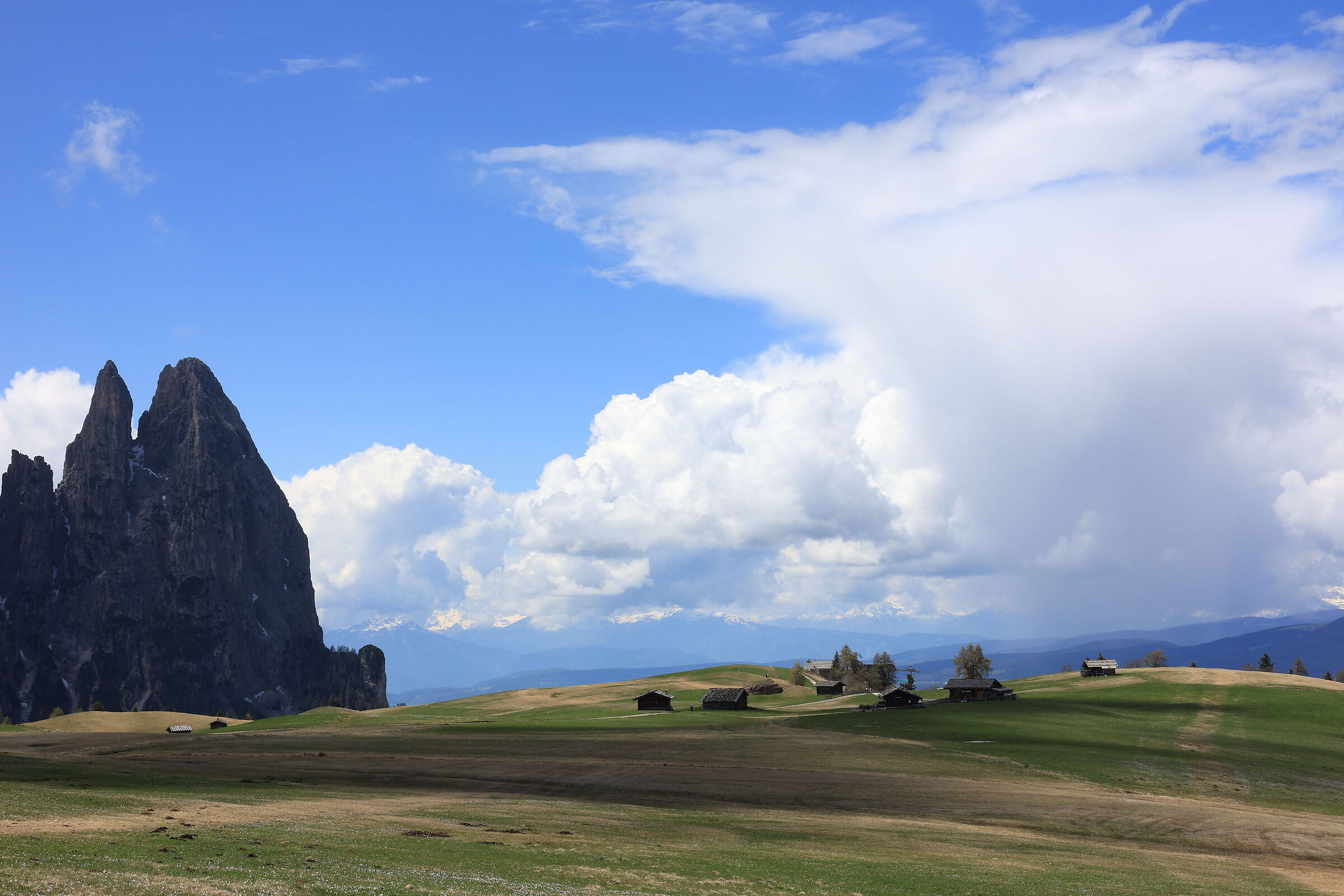 Walk on the Alpe di Siusi 2
