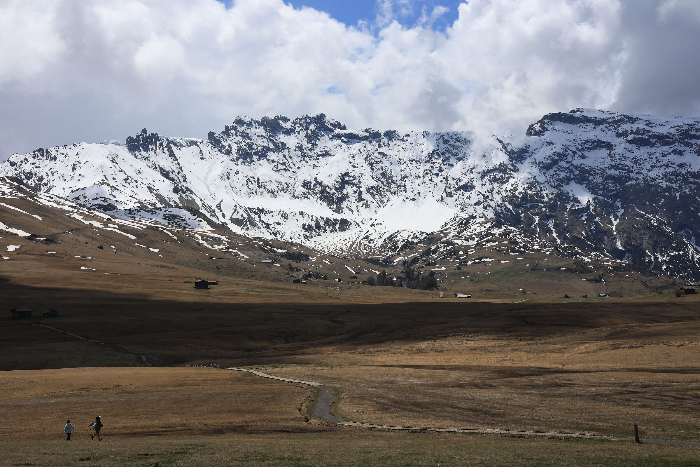 Walk on the Alpe di Siusi 3