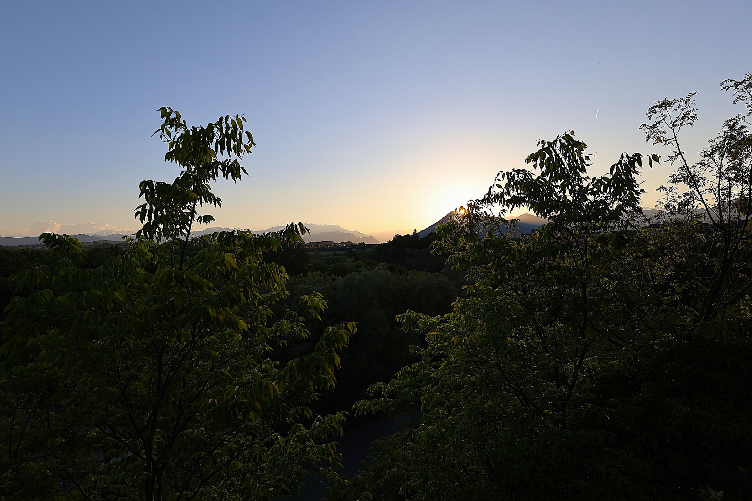 Untitled Photo