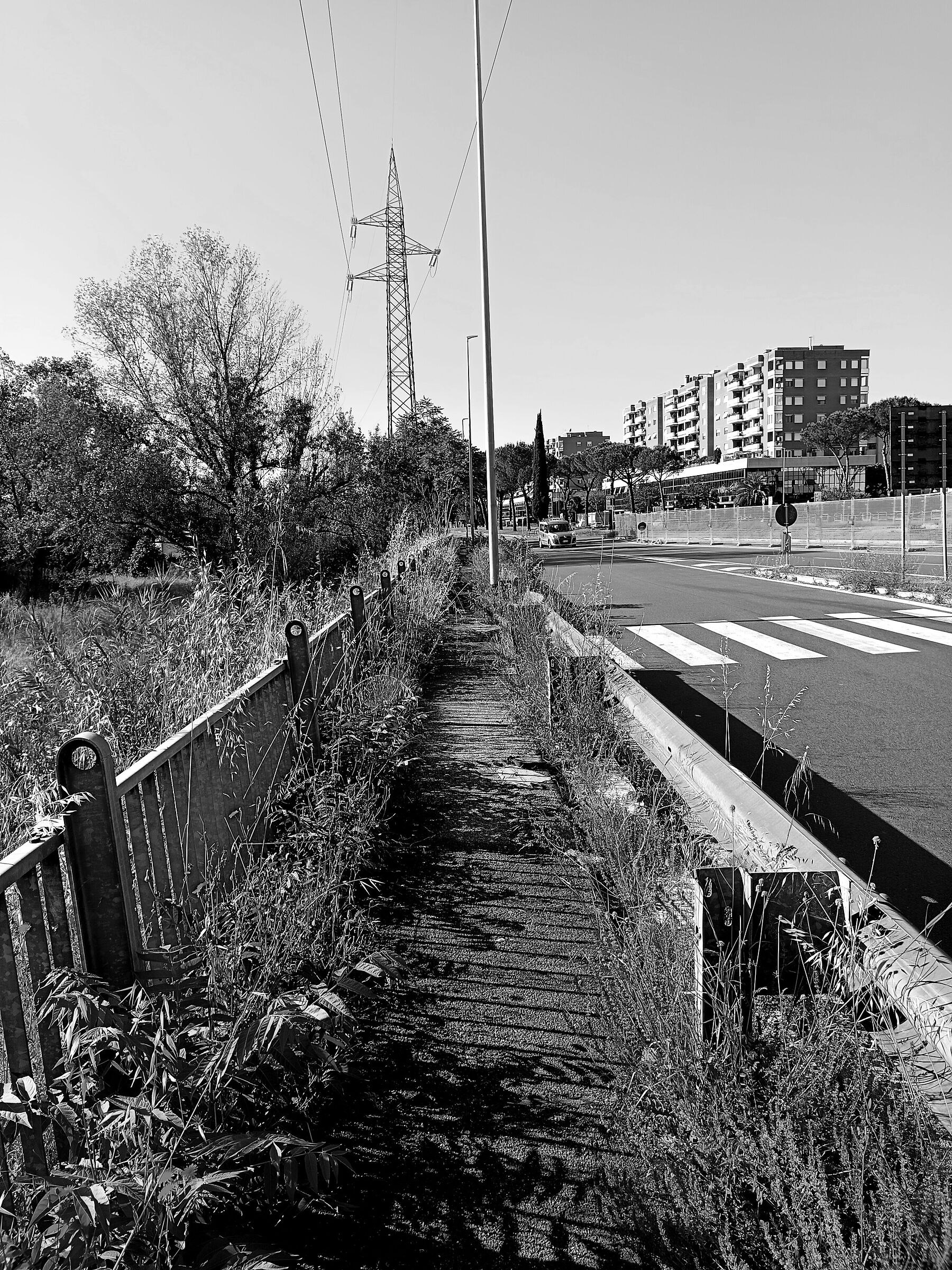 Roma ama il verde